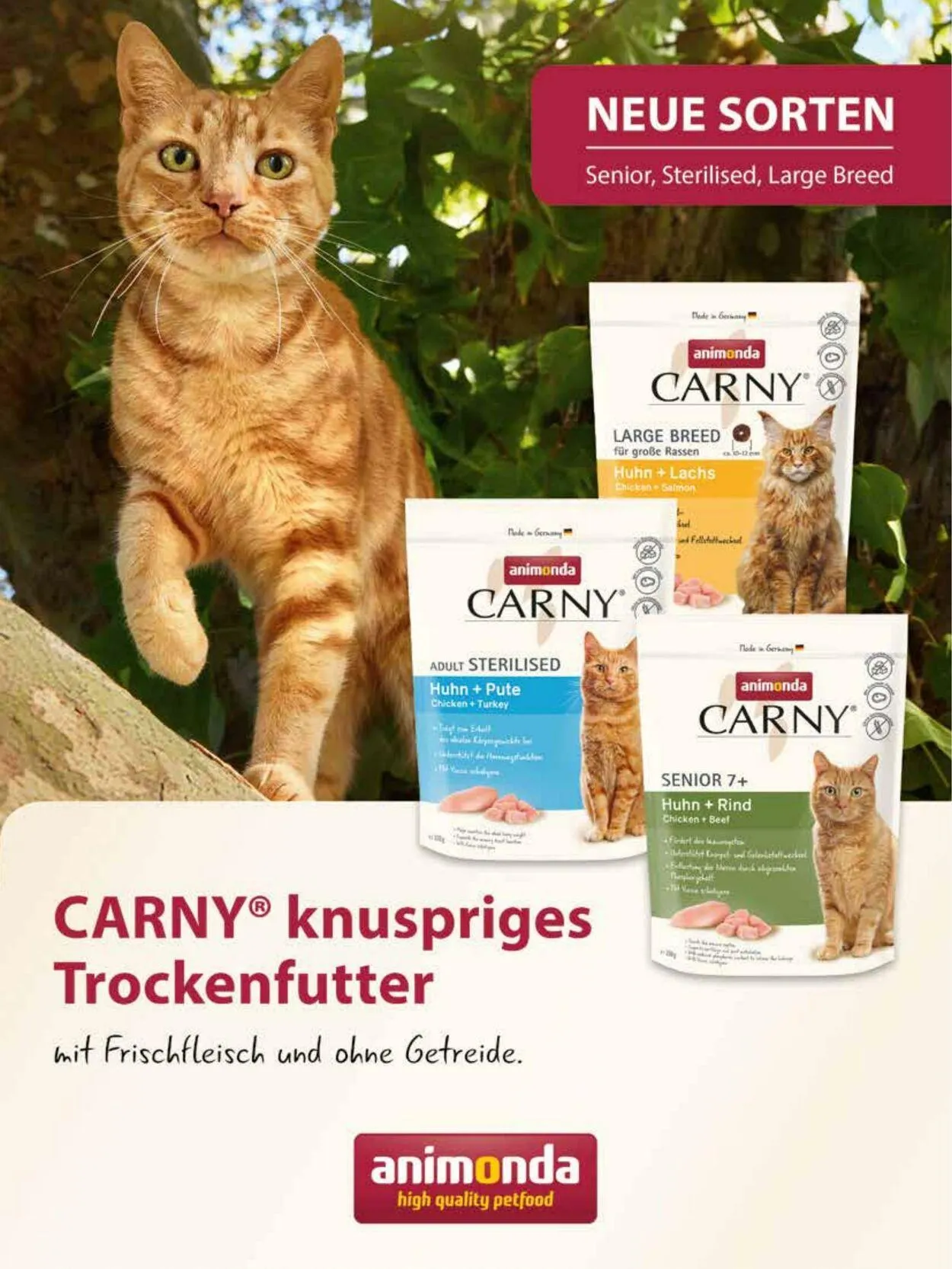 Futterhaus Aktueller Prospekt von 1. Juni bis 30. Juni 2025 - Prospekt seite 26