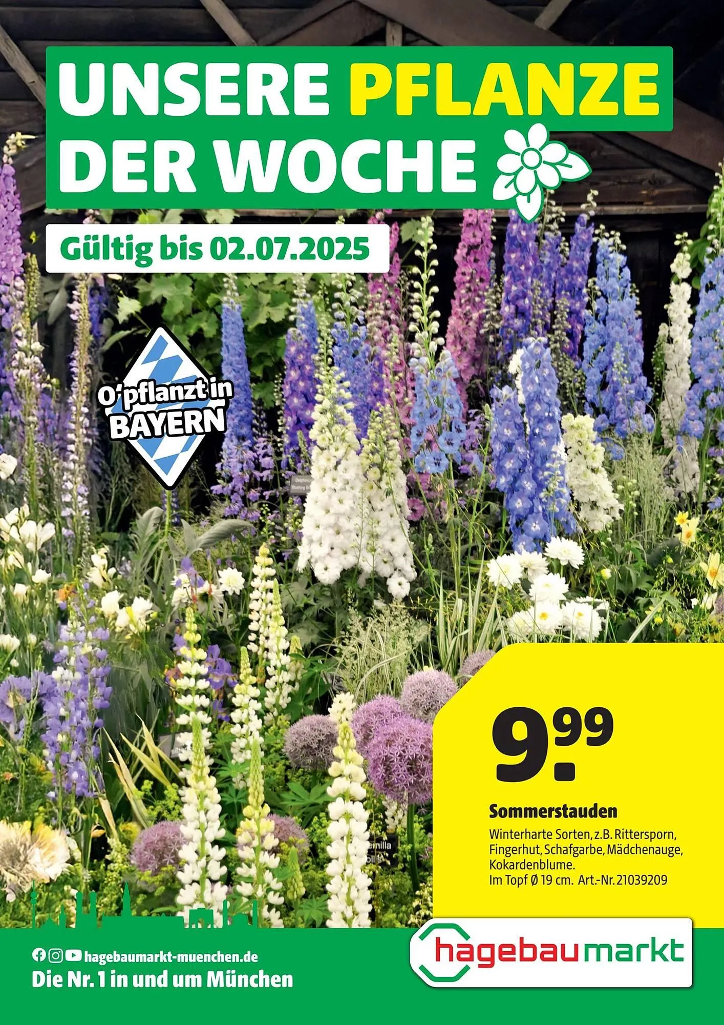 Hagebau Prospekt von 26. Juni bis 3. Juli 2025 - Prospekt seite 1