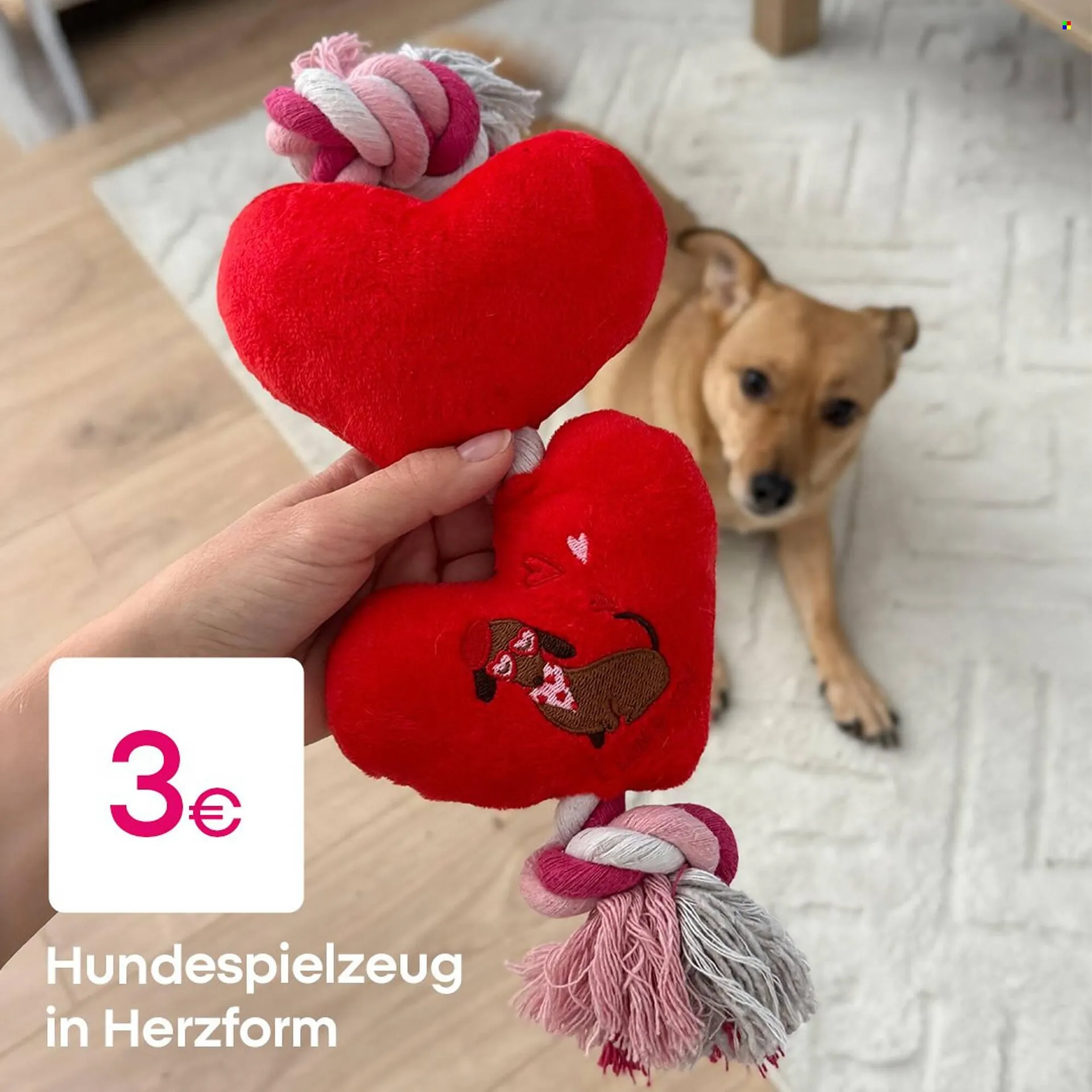 PEPCO Prospekt von 3. Februar bis 11. Februar 2026 - Prospekt seite 3