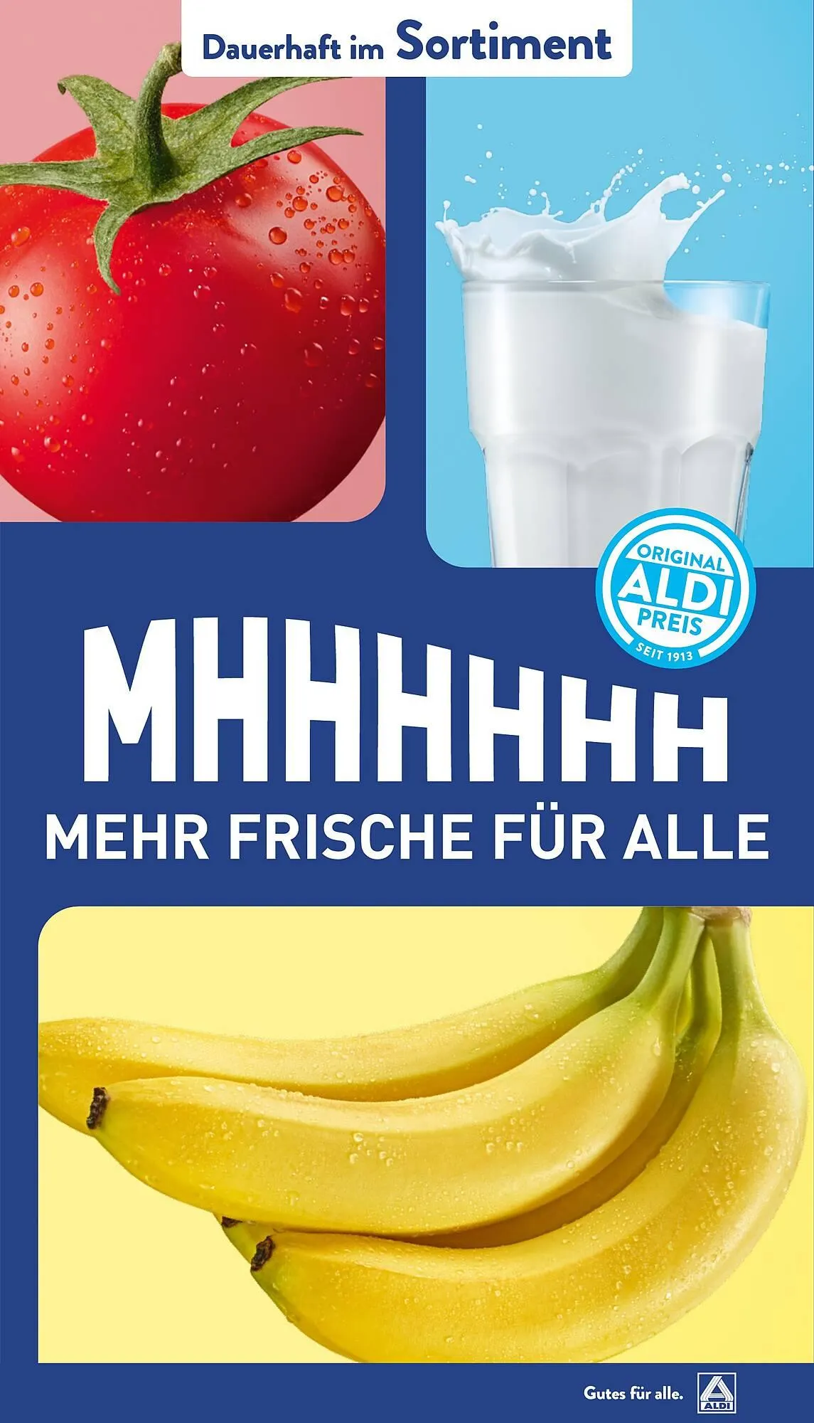 Aldi Nord Prospekt von 17. März bis 22. März 2025 - Prospekt seite 43