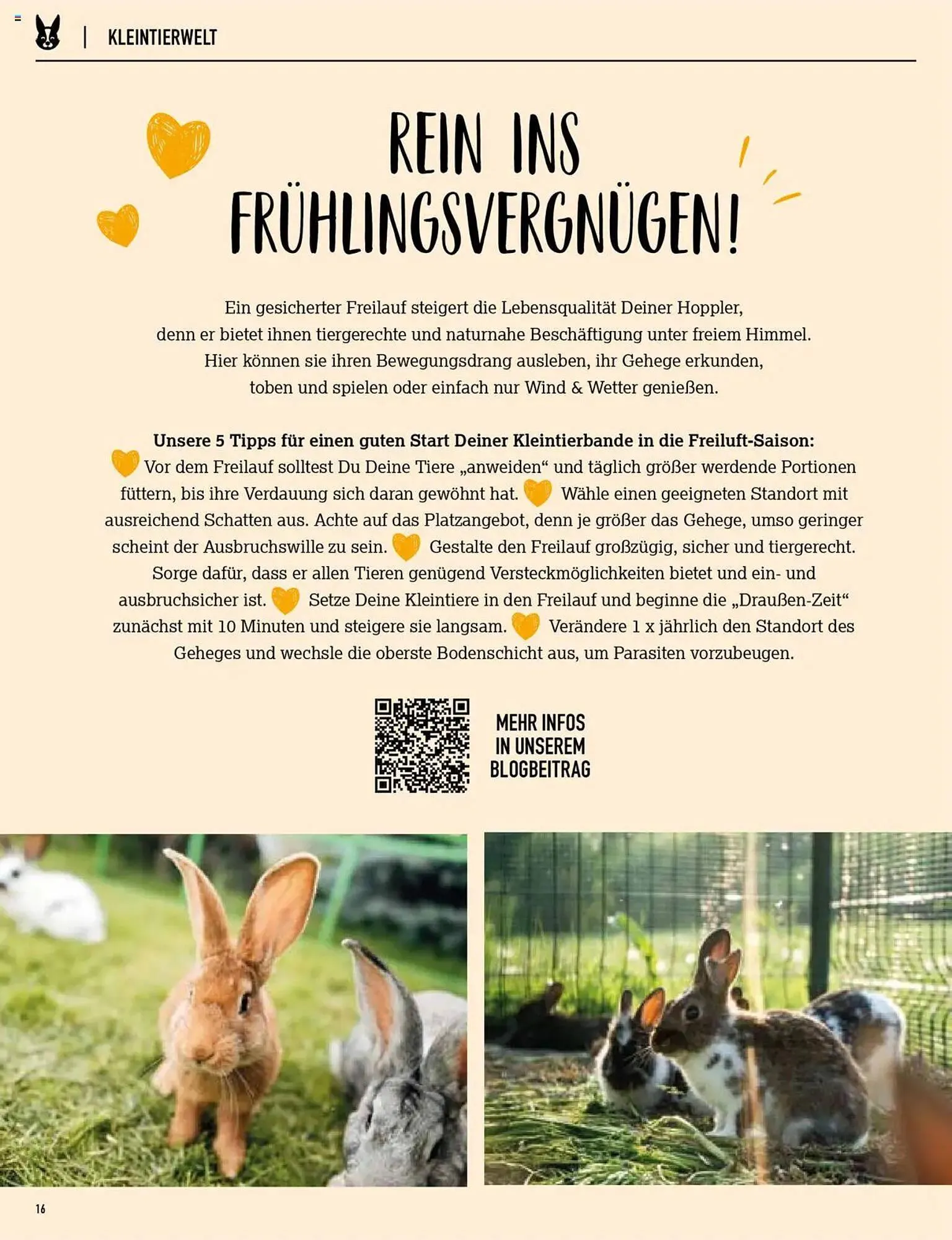 Kölle Zoo Prospekt von 3. April bis 9. April 2025 - Prospekt seite 16