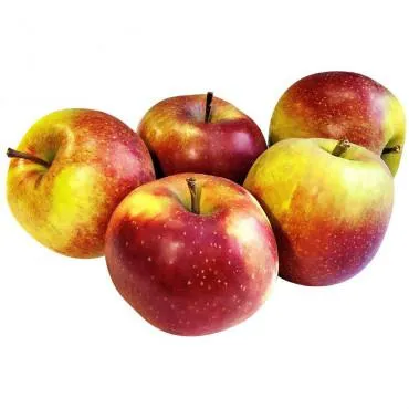 Apfel Boskoop, lose