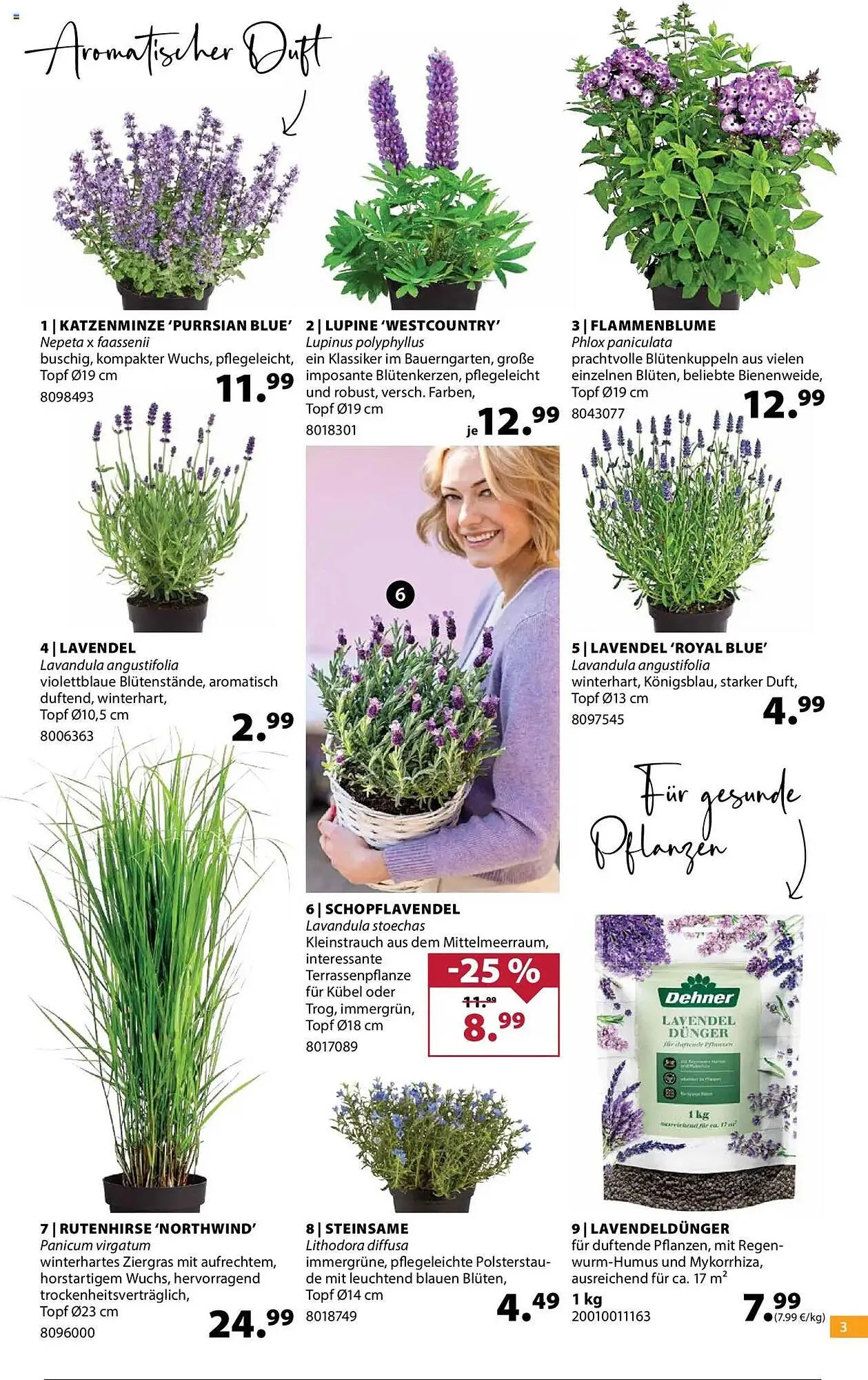 Dehner Prospekt von 14. Mai bis 19. Mai 2025 - Prospekt seite 3