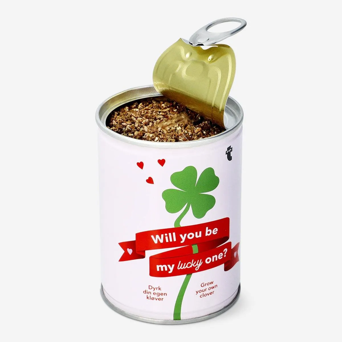 Grow your own clover kit