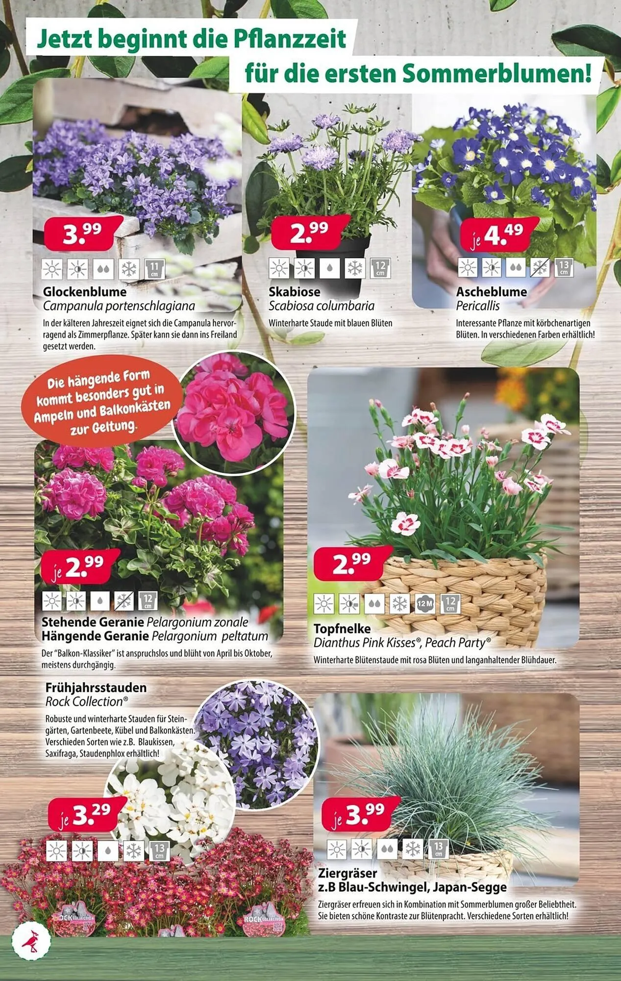 Kiebitzmarkt Prospekt von 5. April bis 12. April 2025 - Prospekt seite 10