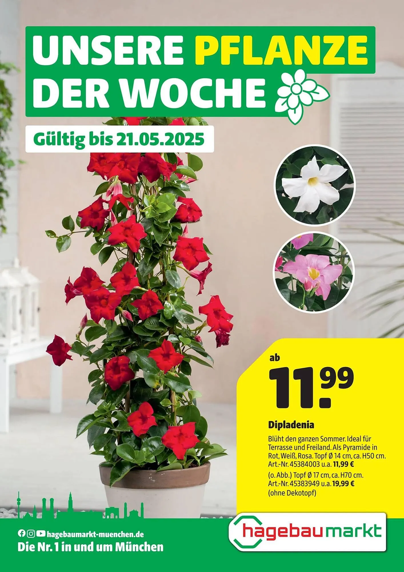 Hagebau Prospekt von 15. Mai bis 21. Mai 2025 - Prospekt seite 1