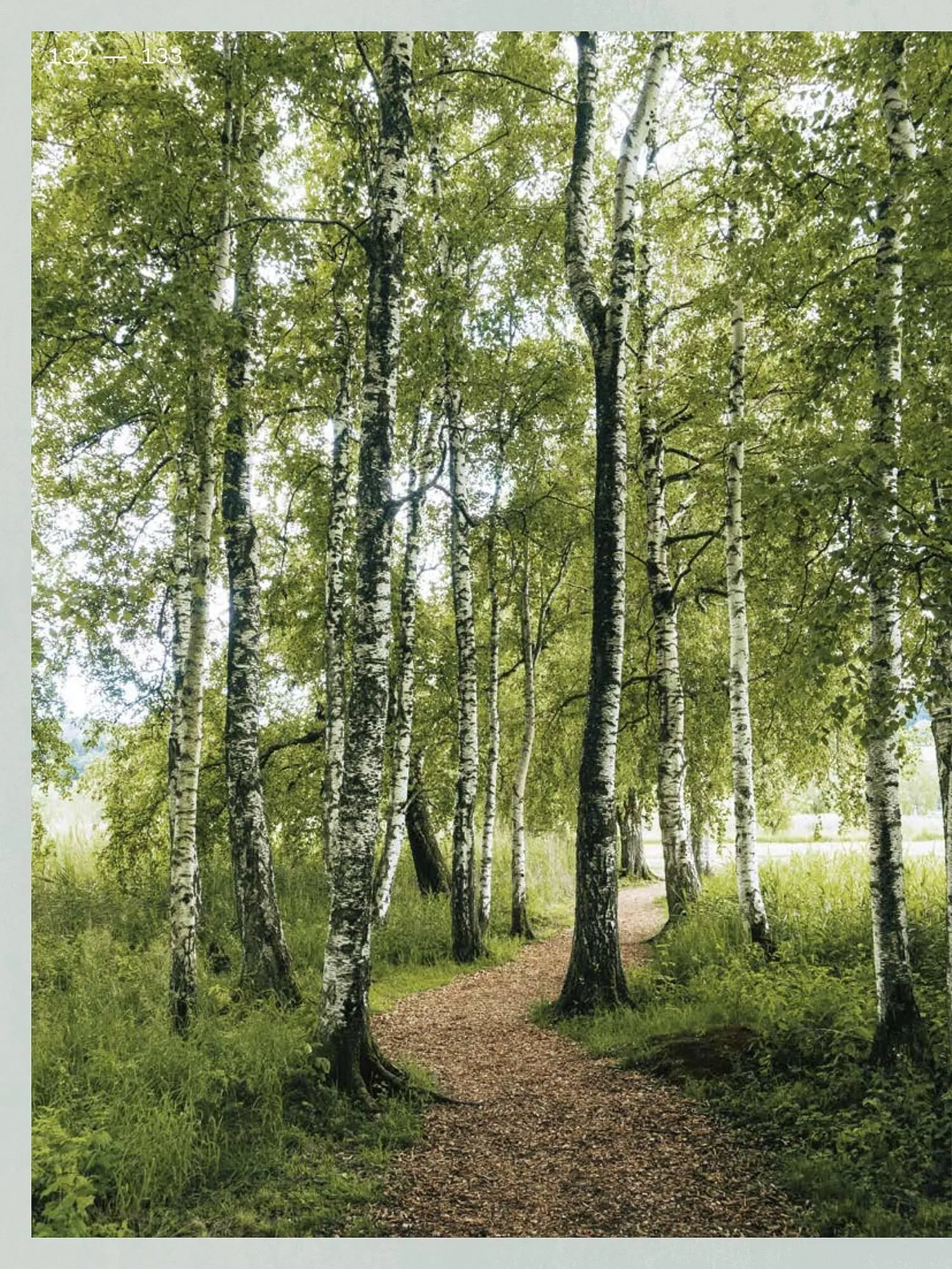 Wiethoff Prospekt von 13. März bis 26. März 2025 - Prospekt seite 132