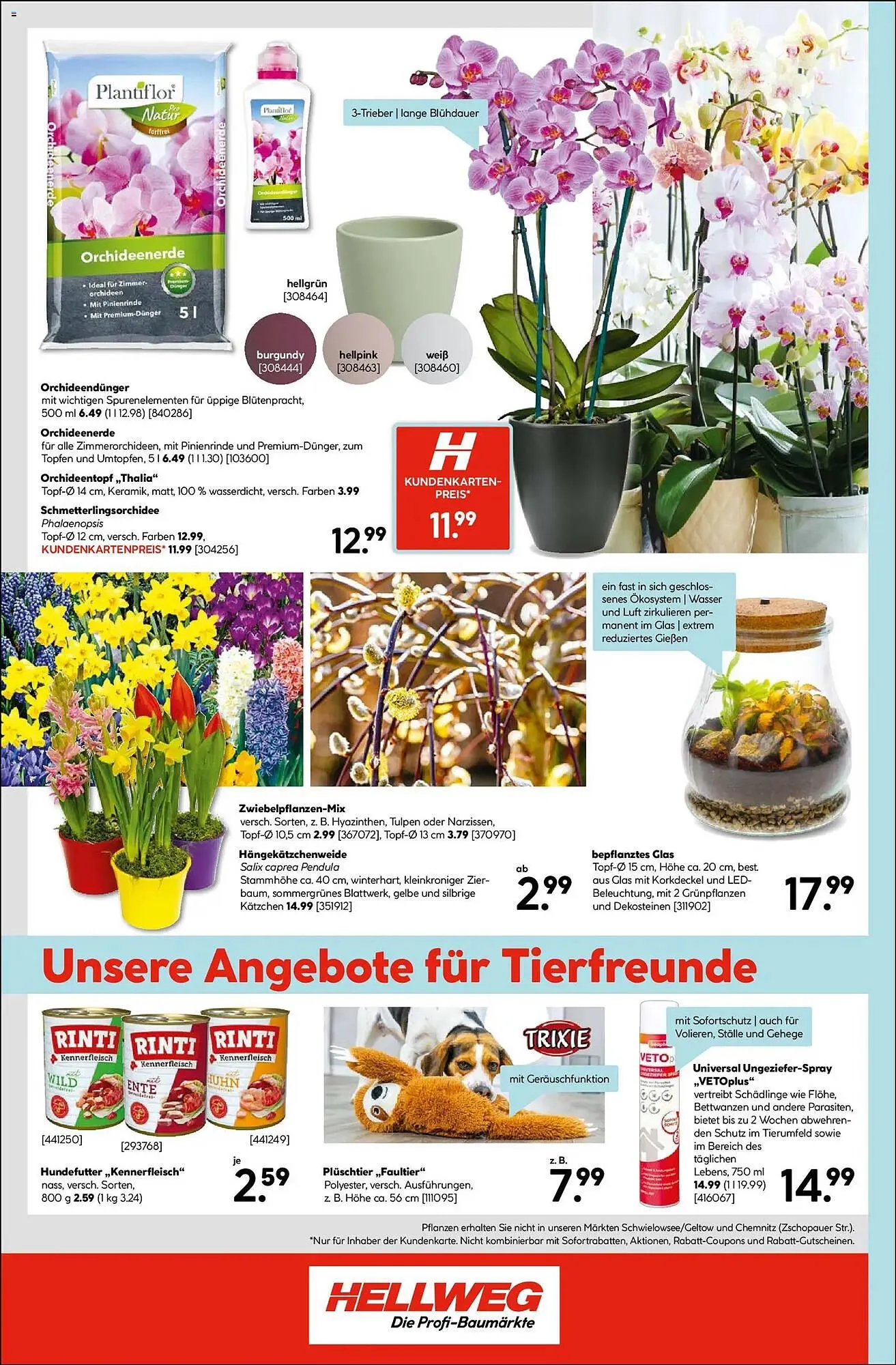 Hellweg Prospekt von 19. Januar bis 24. Januar 2026 - Prospekt seite 16