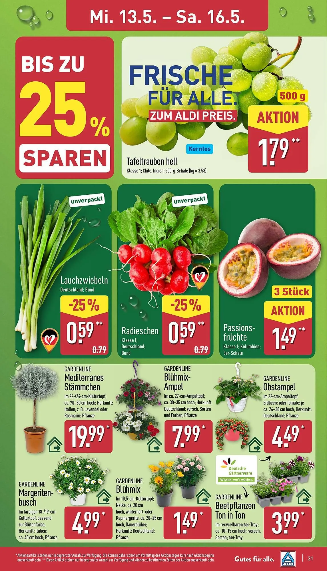 Aldi Nord Prospekt von 11. Mai bis 16. Mai 2026 - Prospekt seite 31