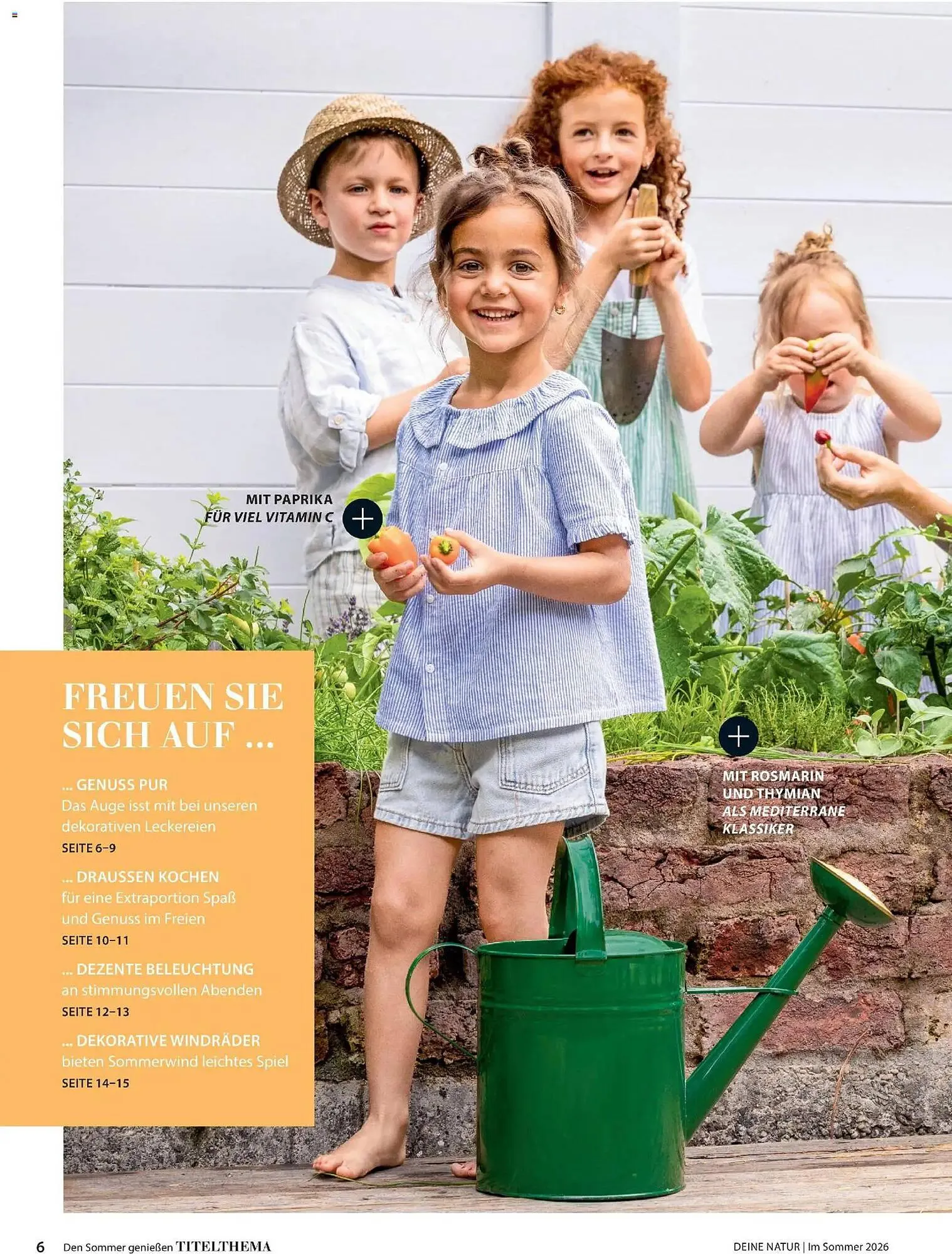 Dehner Prospekt von 17. April bis 31. August 2026 - Prospekt seite 6