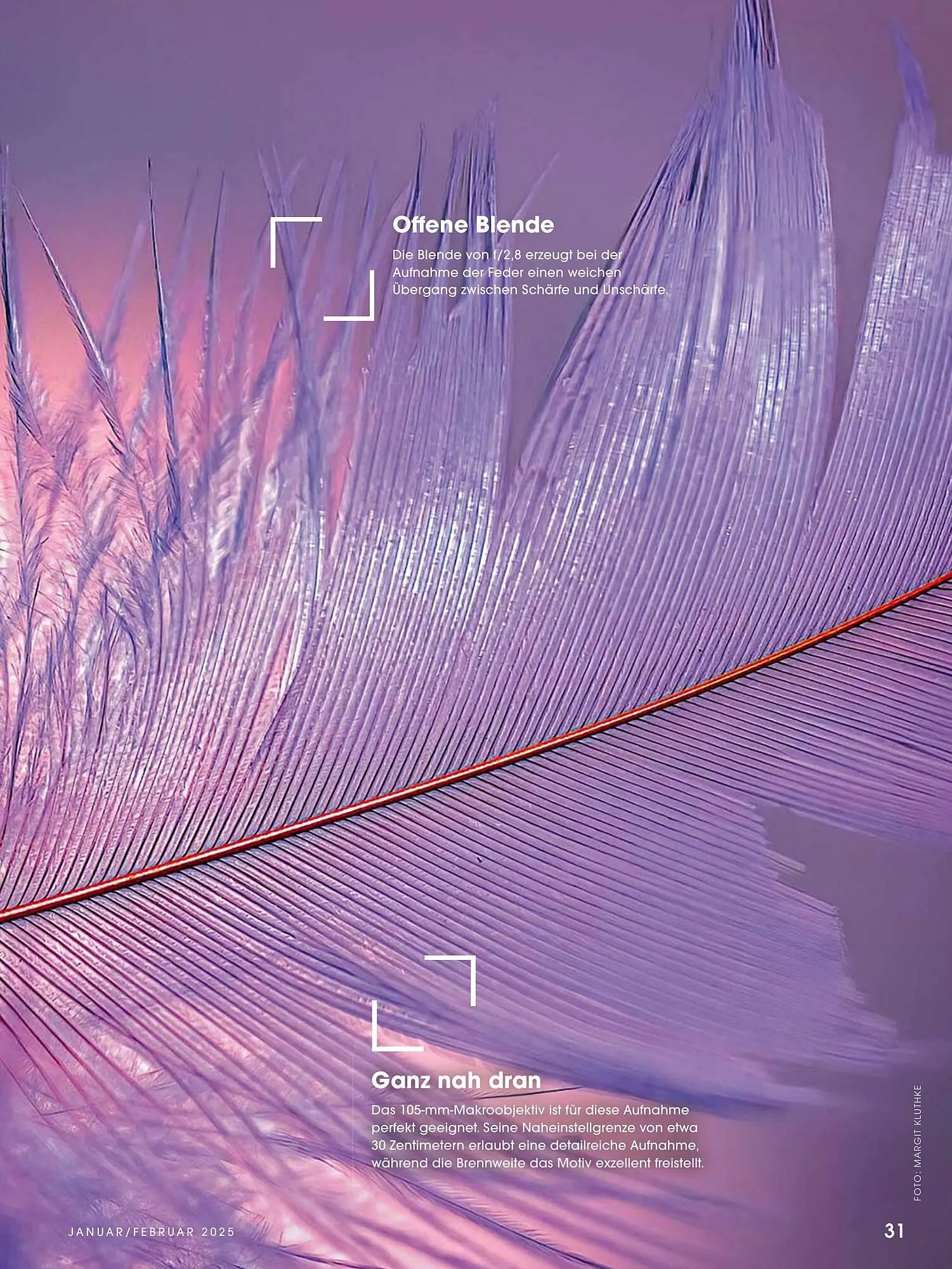 Ringfoto Prospekt von 1. Januar bis 28. Februar 2025 - Prospekt seite 31