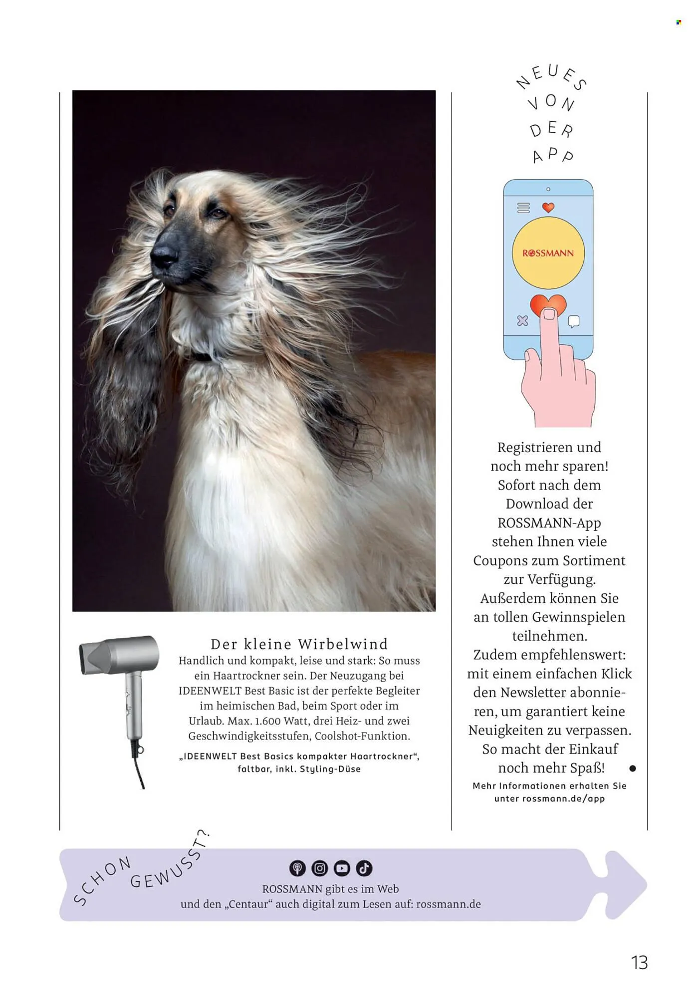 Rossmann Magazin von 1. Januar bis 31. Januar 2026 - Prospekt seite 13