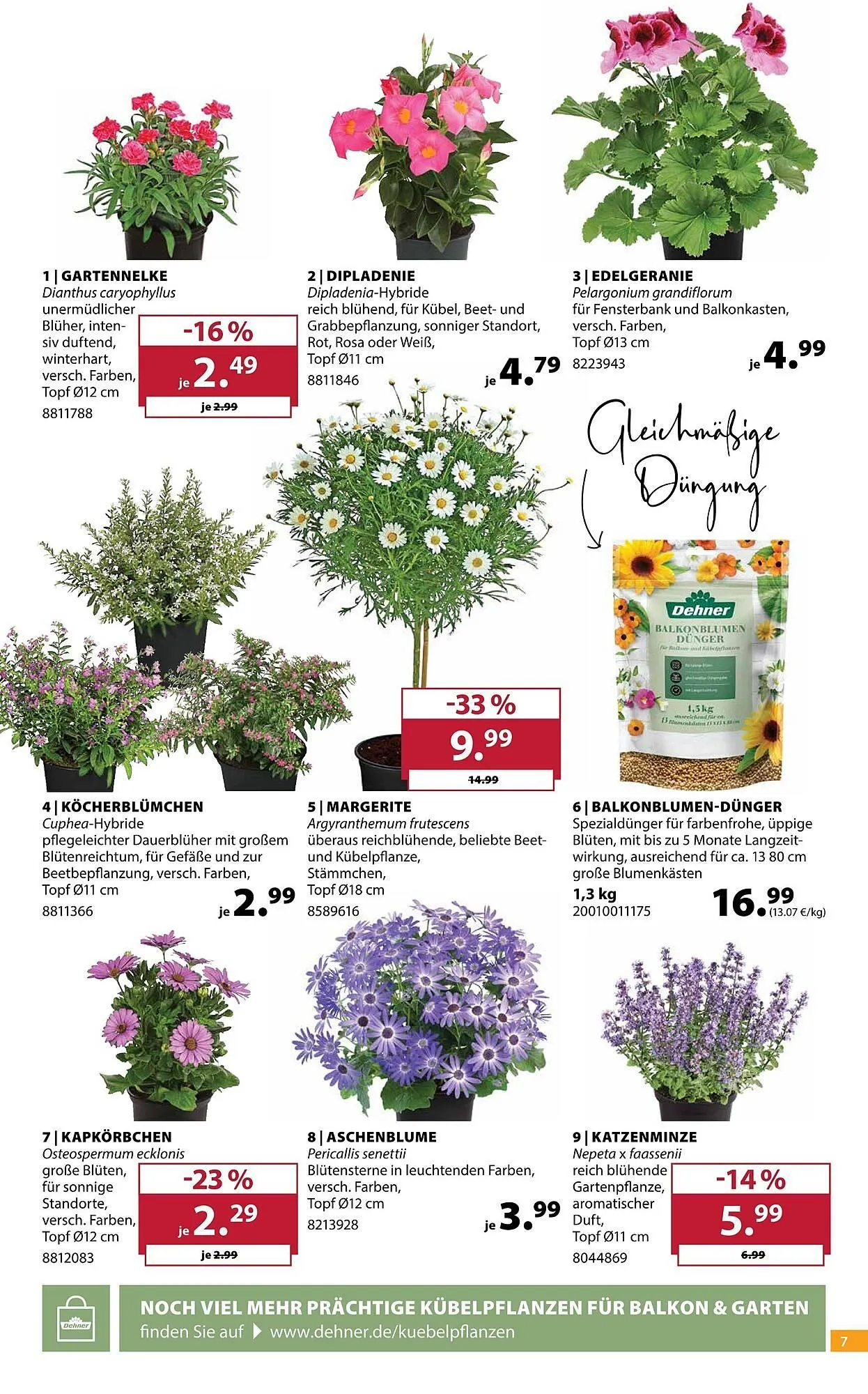 Dehner Prospekt von 8. April bis 13. April 2026 - Prospekt seite 7