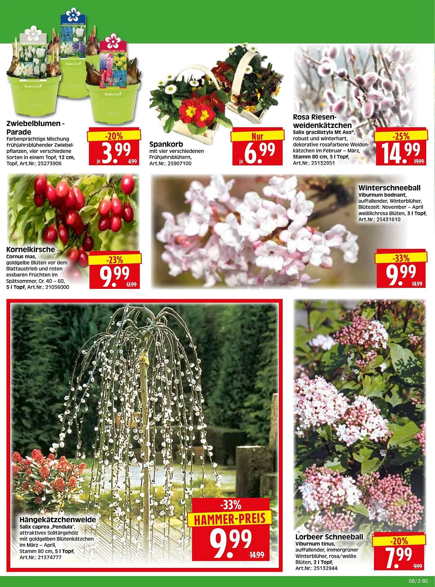 Herkules Baumarkt Prospekt von 16. Februar bis 21. Februar 2026 - Prospekt seite 2