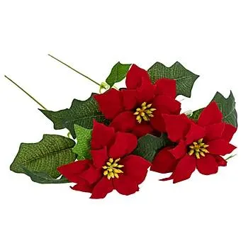 Weihnachtsstern, rot, 33 cm