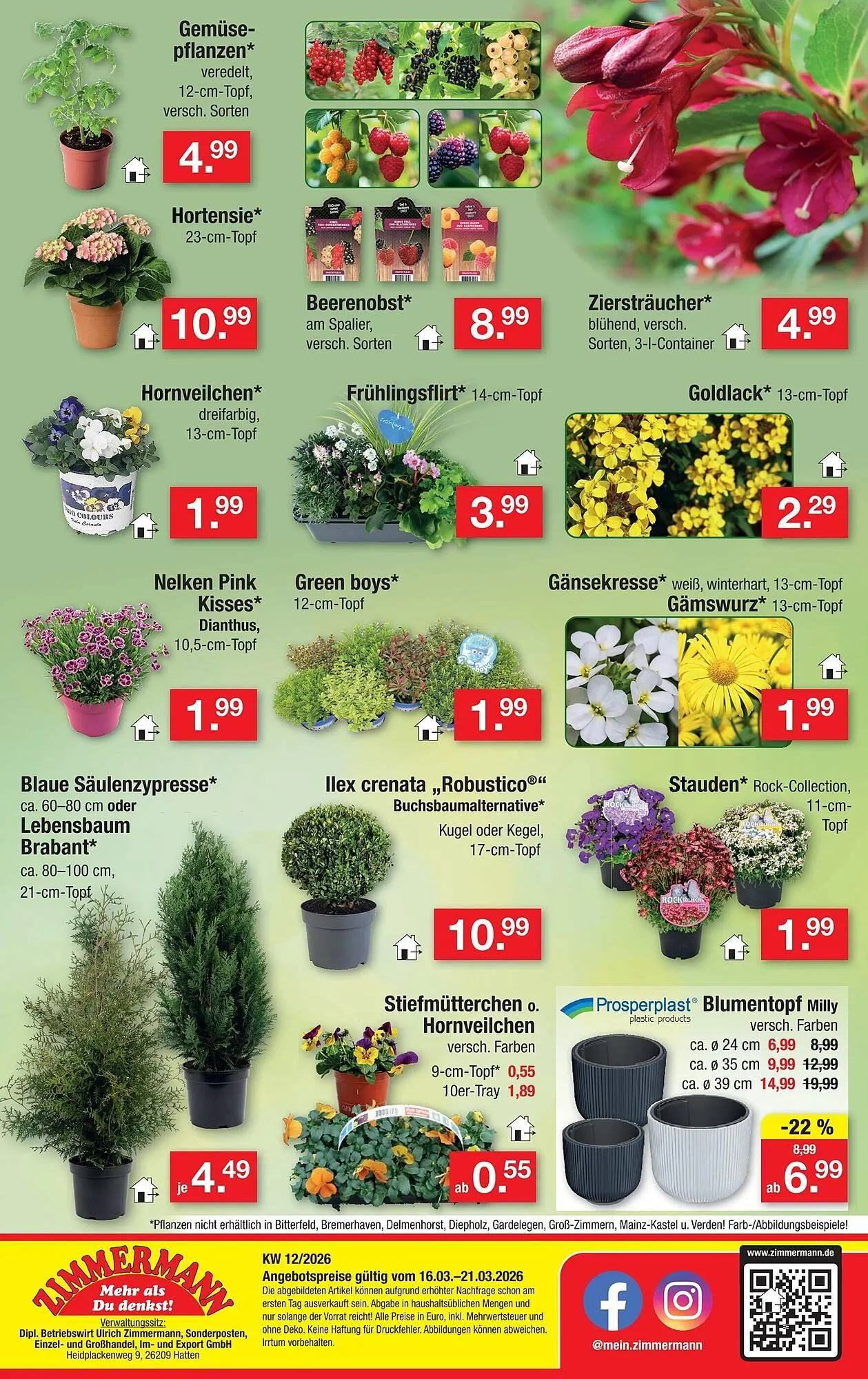 Zimmermann Prospekt von 16. März bis 21. März 2026 - Prospekt seite 10