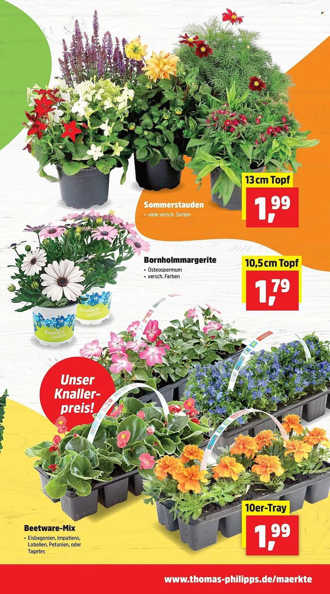 Thomas Philipps Prospekt von 20. April bis 25. April 2026 - Prospekt seite 3