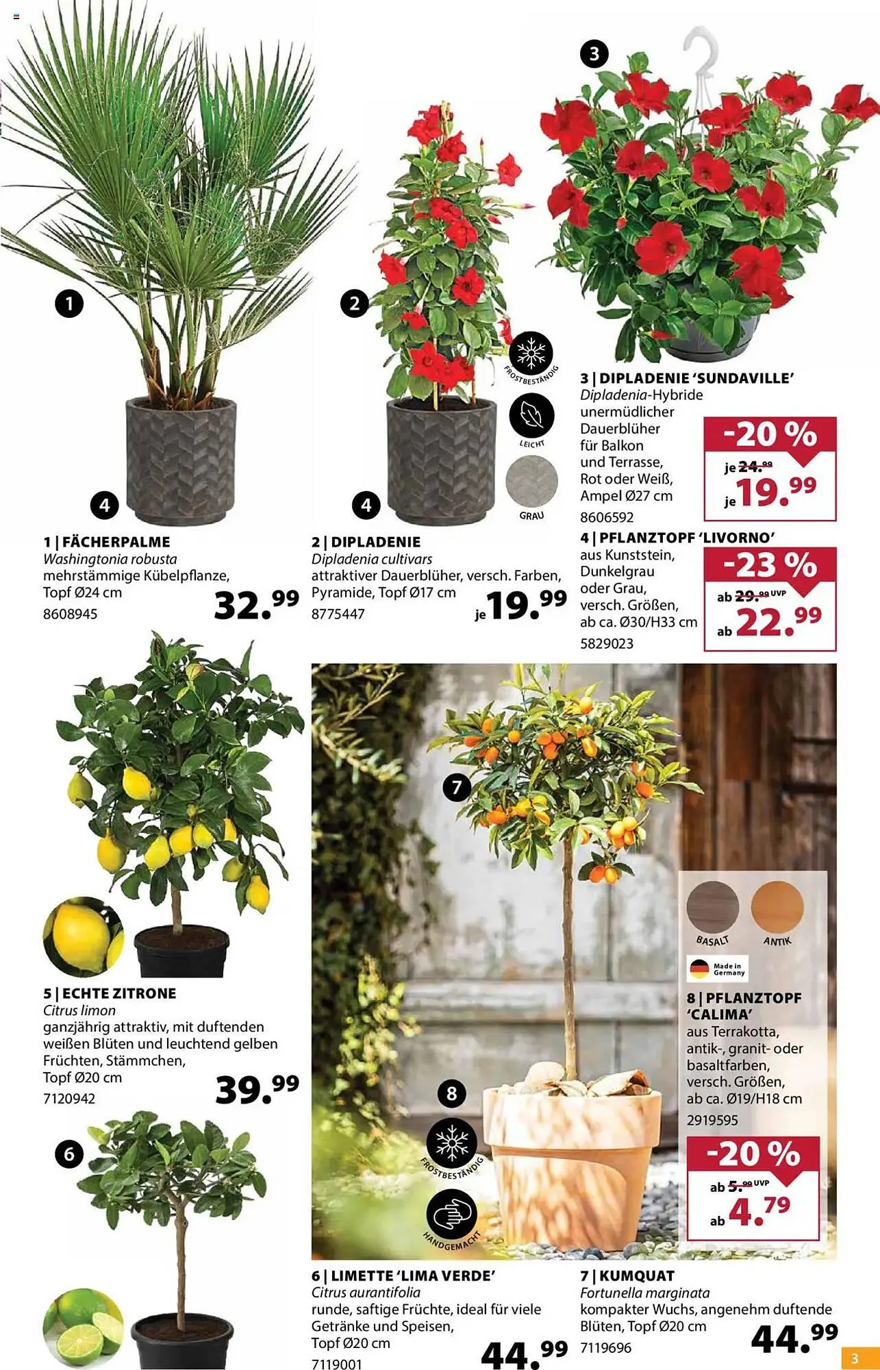 Dehner Prospekt von 23. April bis 28. April 2025 - Prospekt seite 3