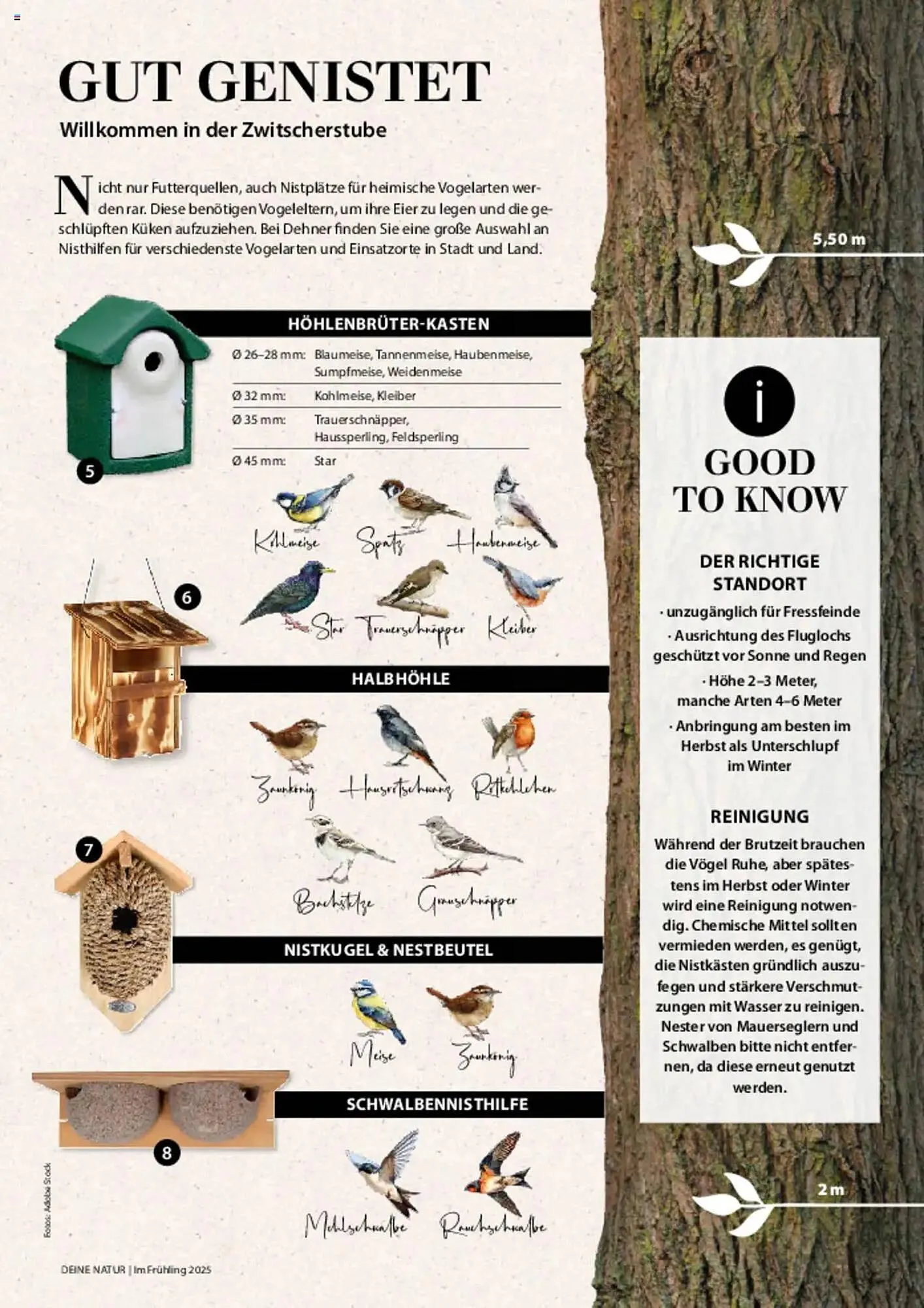 Dehner Prospekt von 6. März bis 9. Juni 2025 - Prospekt seite 93