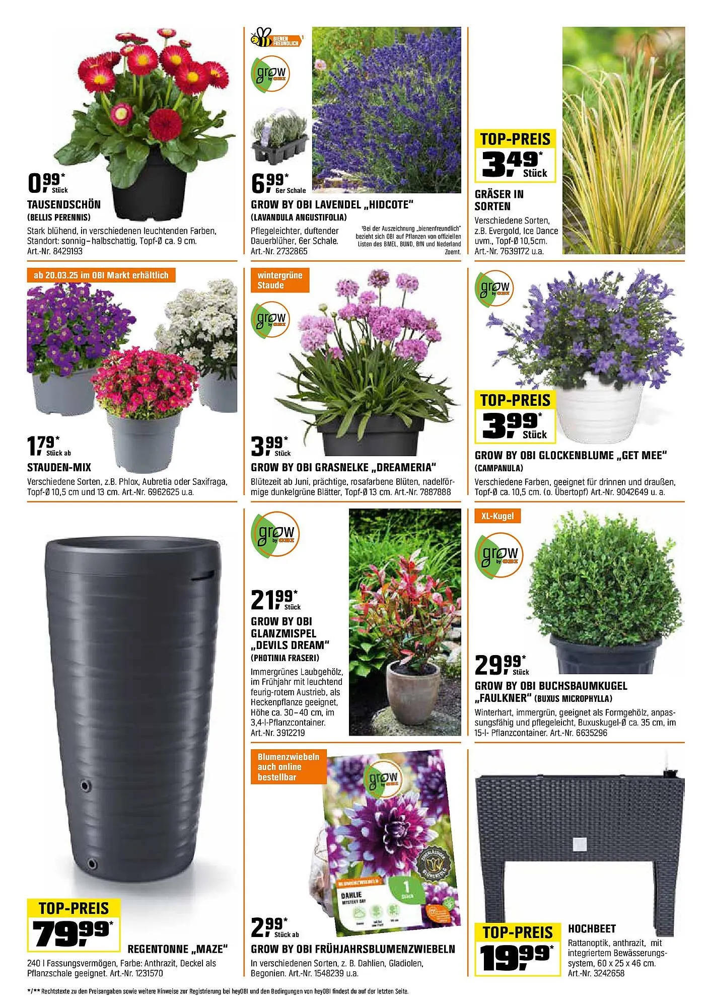 OBI Prospekt von 14. März bis 31. März 2025 - Prospekt seite 2