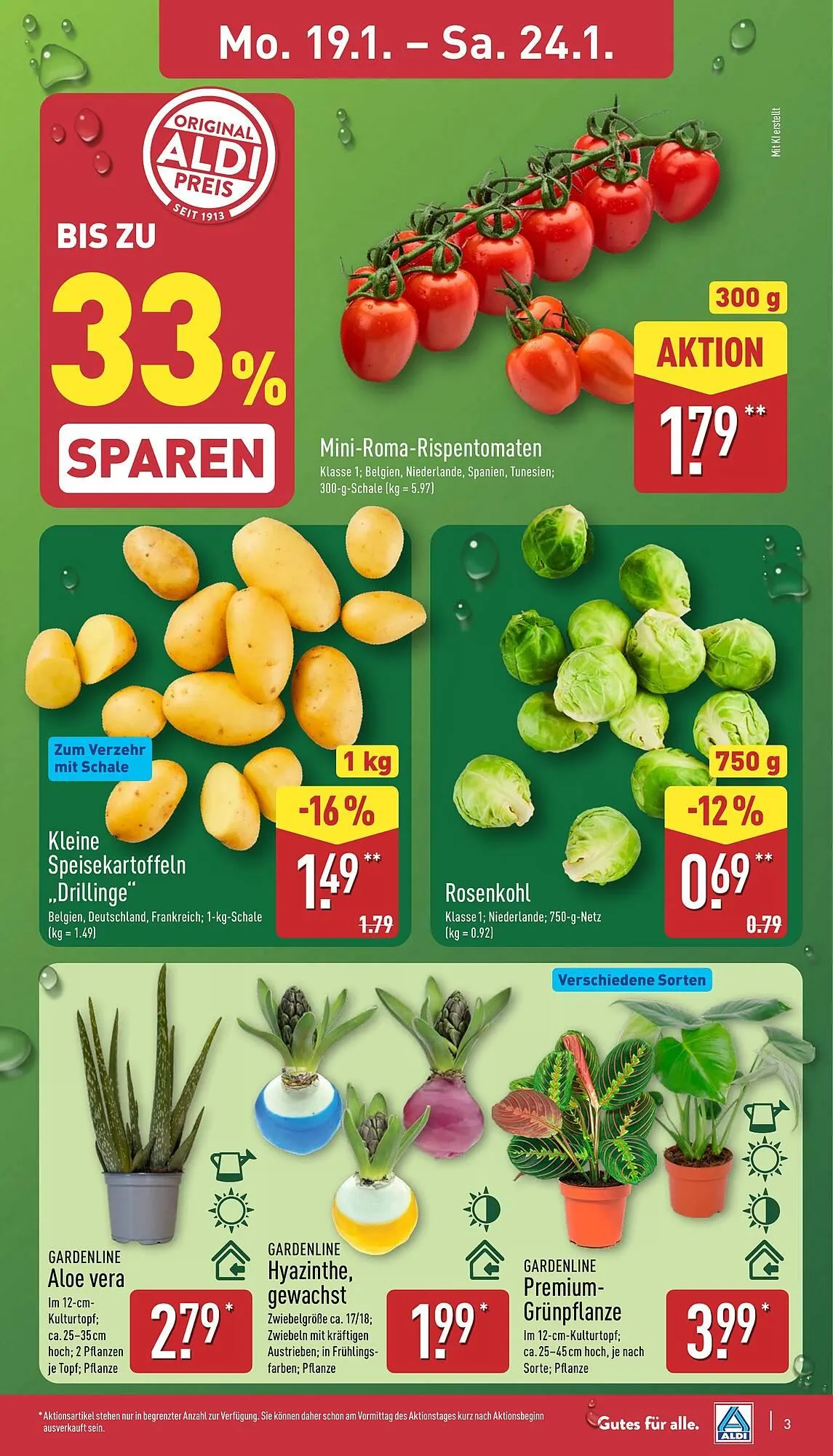 Aldi Nord Prospekt von 19. Januar bis 24. Januar 2026 - Prospekt seite 3