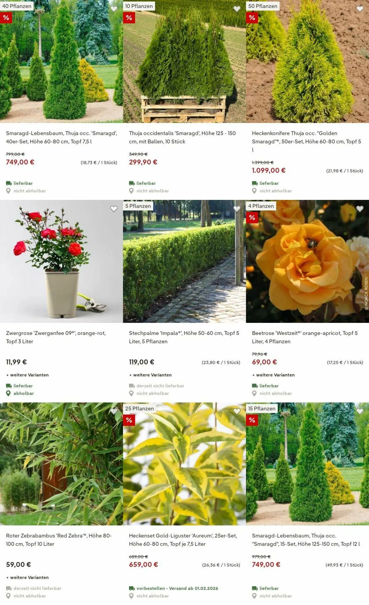 Pflanzen-Kölle Aktueller Prospekt von 15. Dezember bis 24. Dezember 2025 - Prospekt seite 7