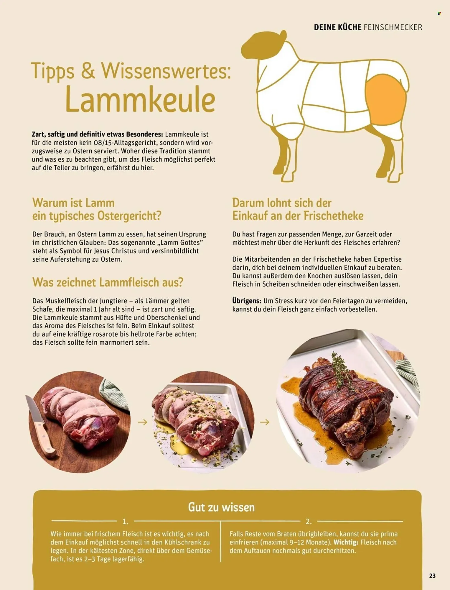 REWE Magazin von 4. März bis 12. März 2026 - Prospekt seite 23