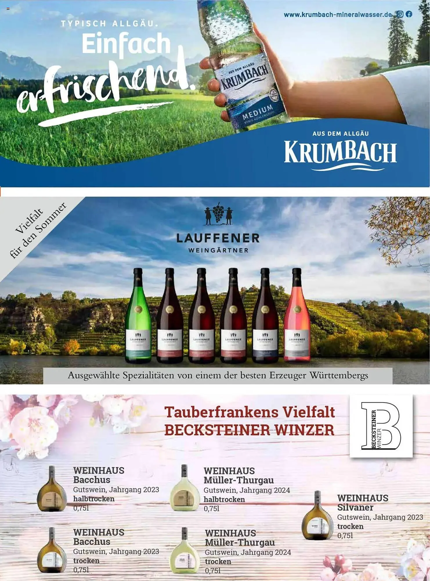 V Markt Prospekt von 1. Juli bis 31. August 2025 - Prospekt seite 37