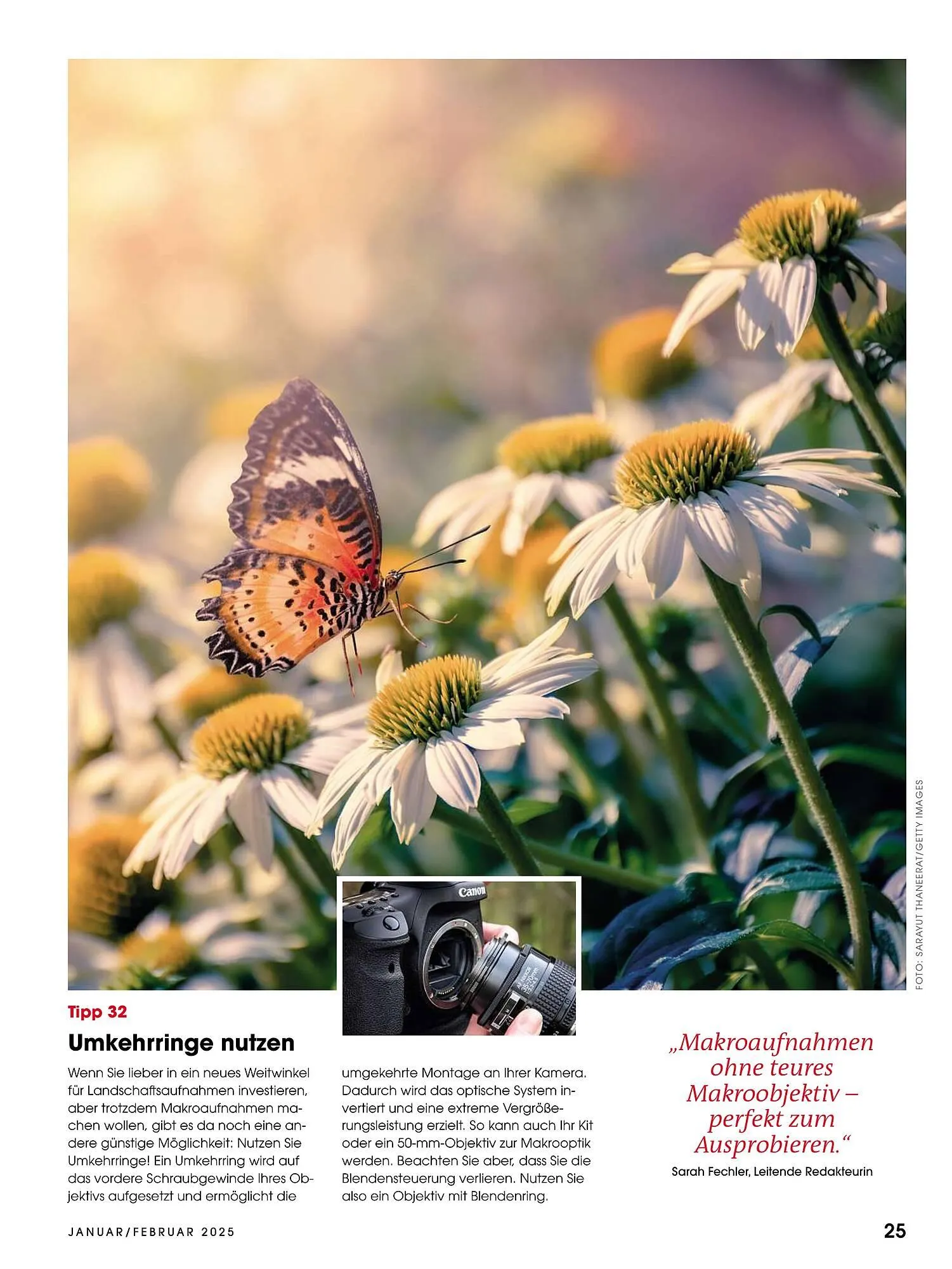 Ringfoto Prospekt von 1. Januar bis 28. Februar 2025 - Prospekt seite 25