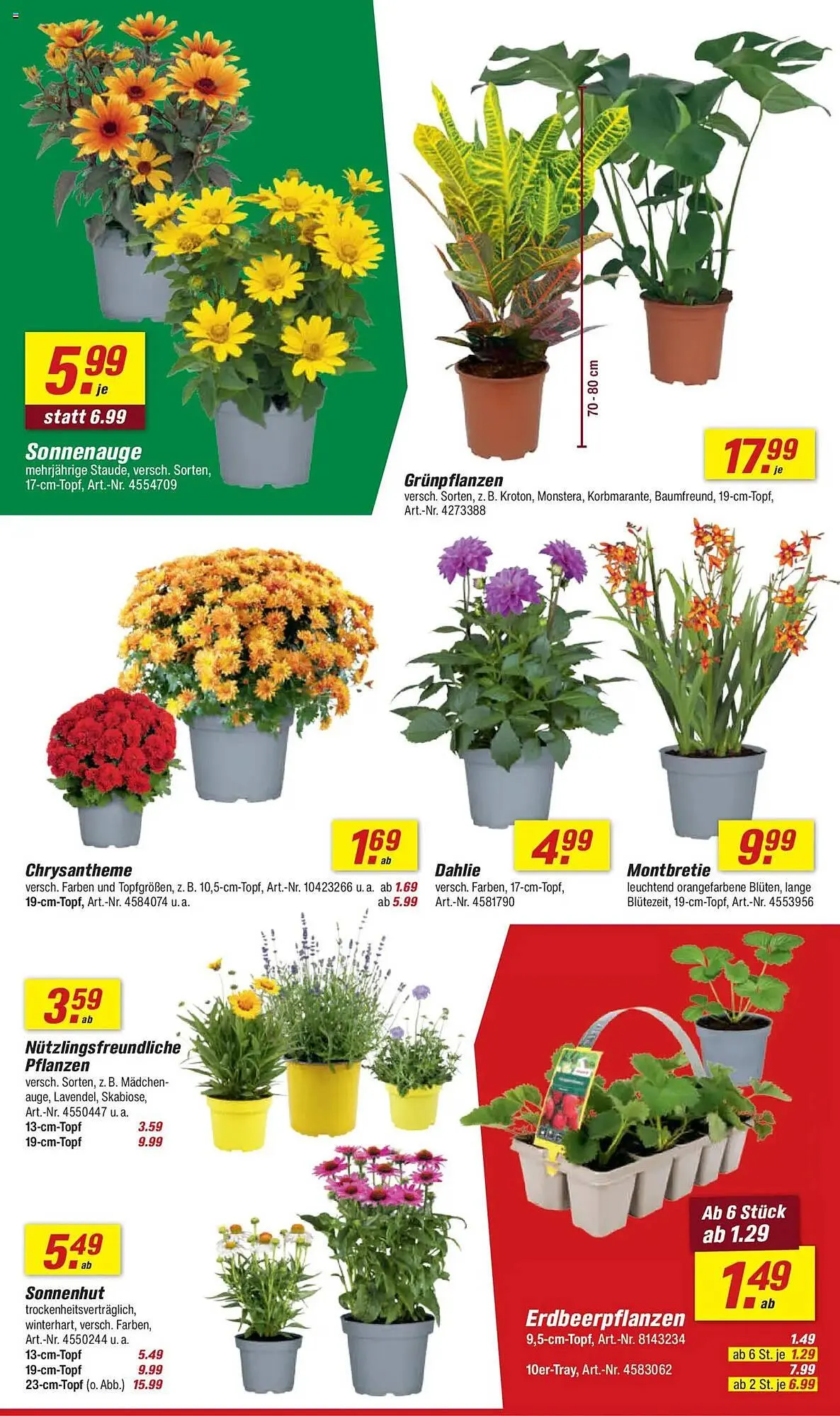 toom Baumarkt Prospekt von 26. Juli bis 1. August 2025 - Prospekt seite 4