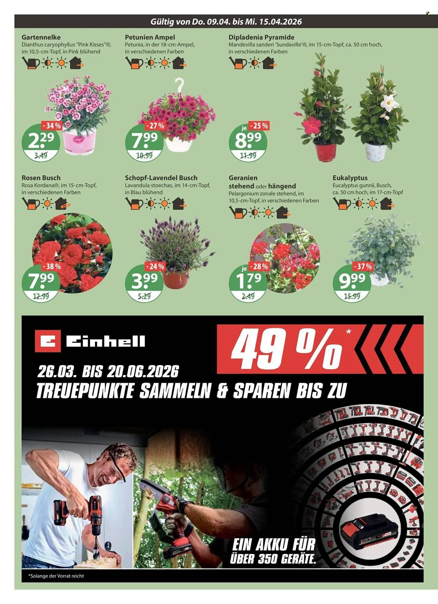 V Markt Prospekt von 9. April bis 15. April 2026 - Prospekt seite 20