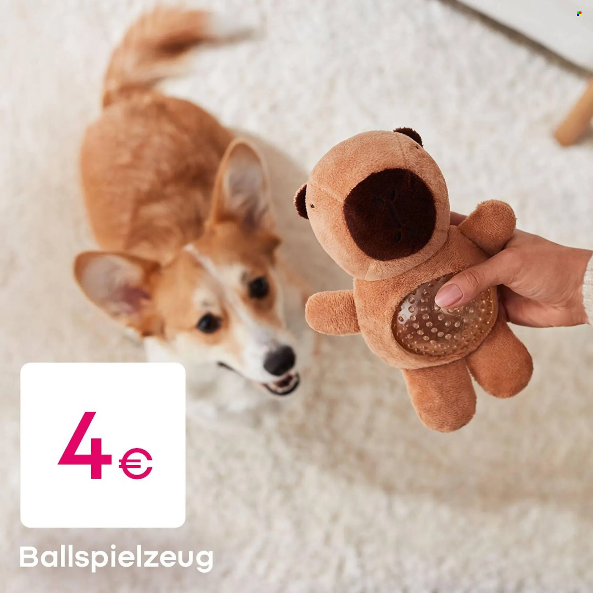 PEPCO Prospekt von 12. Januar bis 20. Januar 2026 - Prospekt seite 3