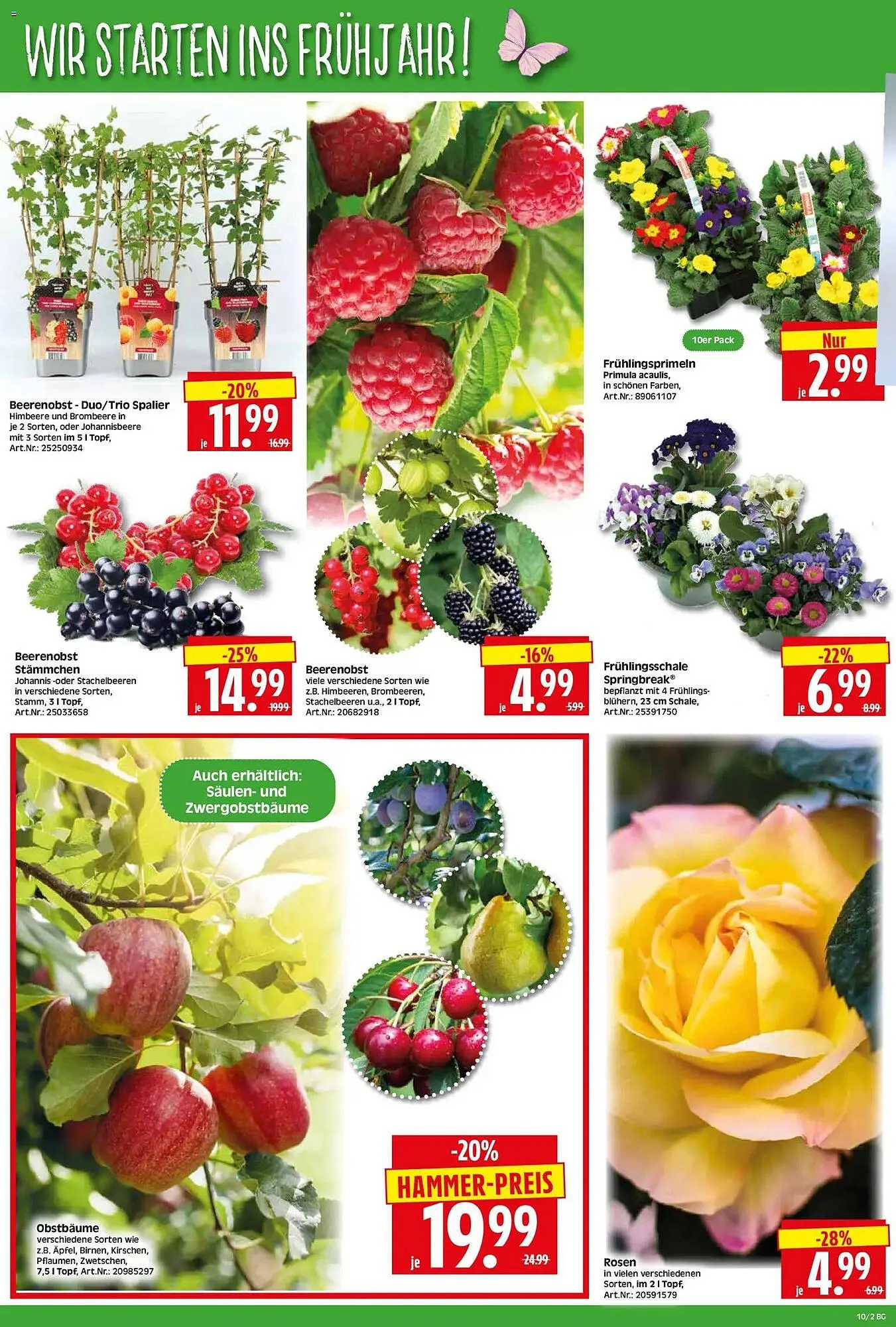 Herkules Baumarkt Prospekt von 2. März bis 7. März 2026 - Prospekt seite 2