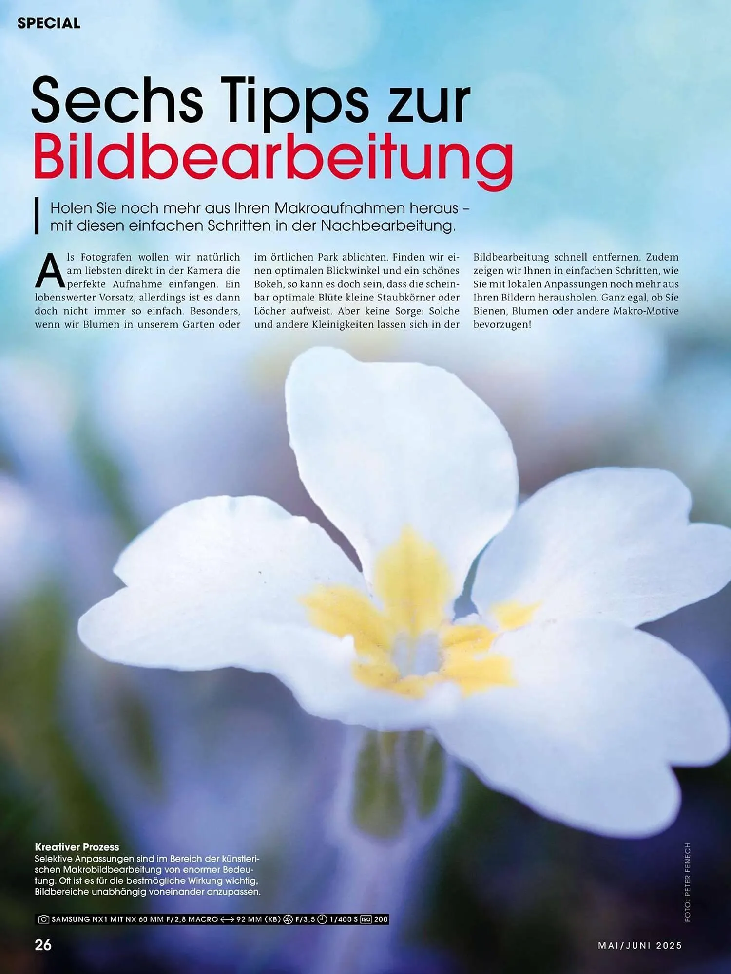 Ringfoto Prospekt von 22. Mai bis 30. Juni 2025 - Prospekt seite 26