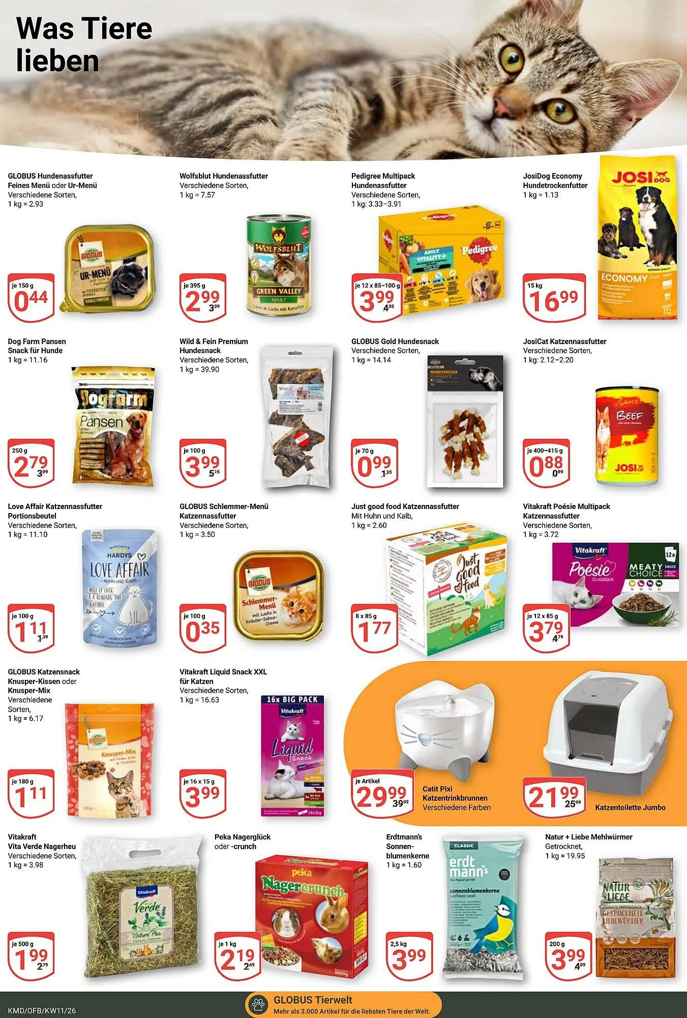 Globus Prospekt von 9. März bis 14. März 2026 - Prospekt seite 19