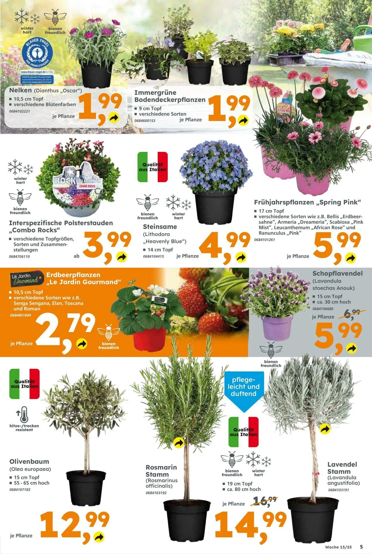 Globus Baumarkt Aktueller Prospekt von 23. März bis 29. März 2025 - Prospekt seite 5