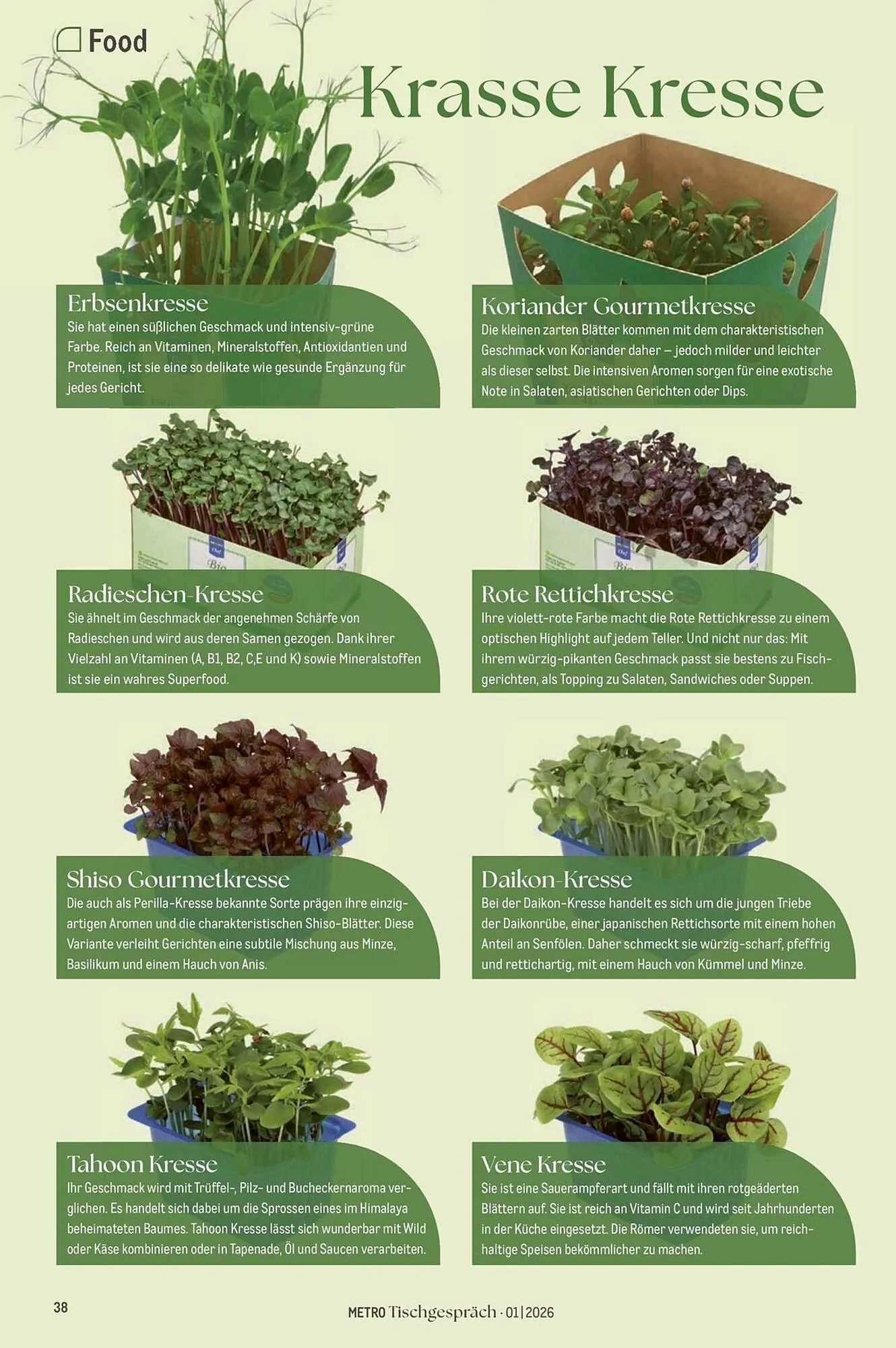 METRO Prospekt von 1. Februar bis 28. Februar 2026 - Prospekt seite 38