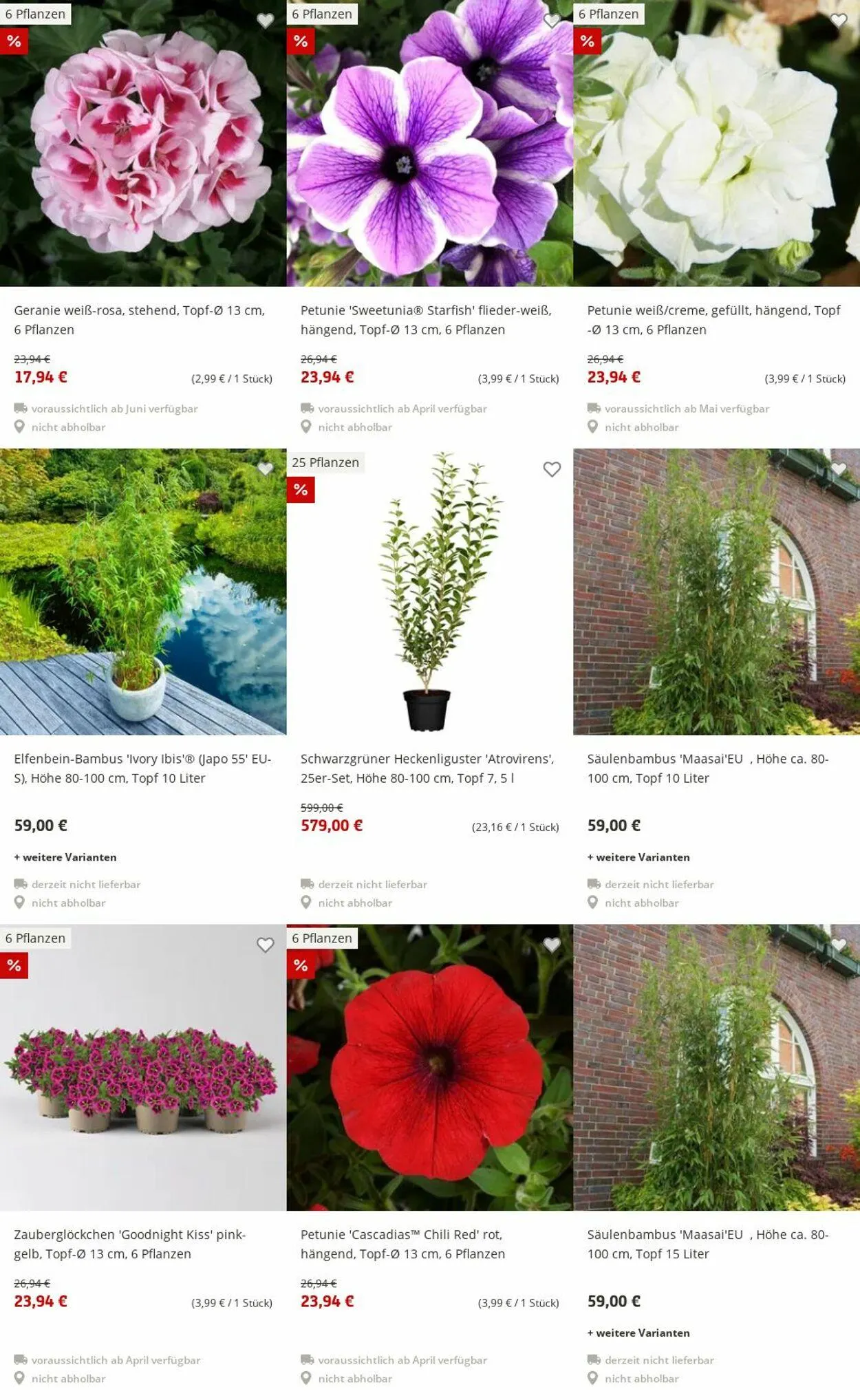 Pflanzen-Kölle Aktueller Prospekt von 30. Juni bis 9. Juli 2025 - Prospekt seite 74