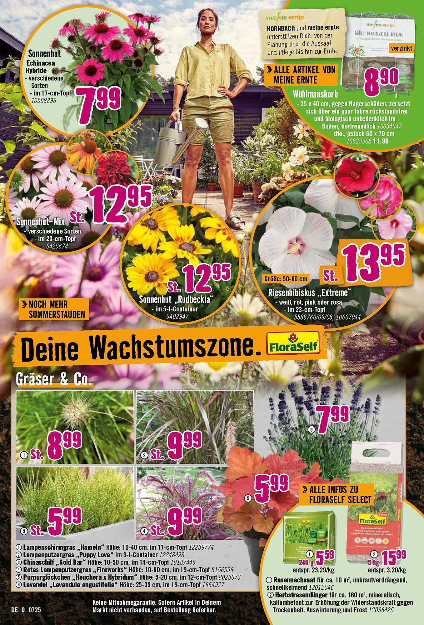 Hornbach Prospekt von 24. Juni bis 22. Juli 2025 - Prospekt seite 14