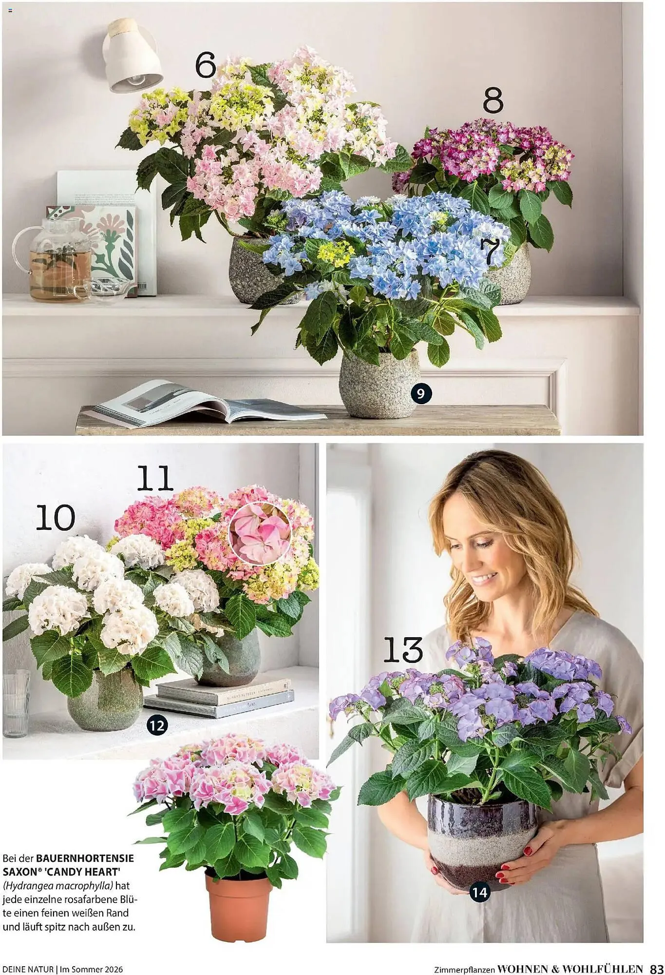 Dehner Prospekt von 17. April bis 31. August 2026 - Prospekt seite 83