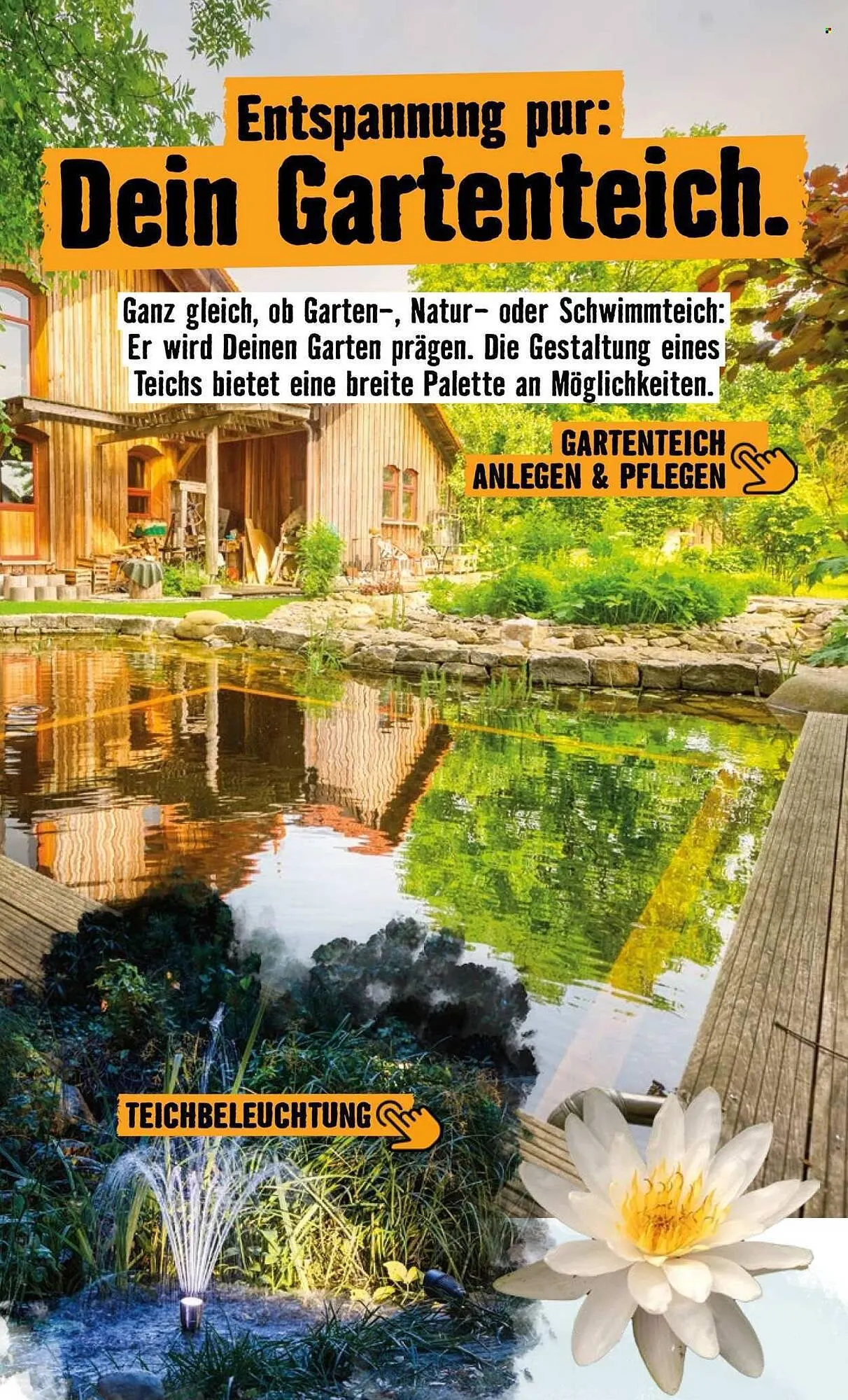 Hornbach Prospekt von 24. April bis 2. Mai 2026 - Prospekt seite 26