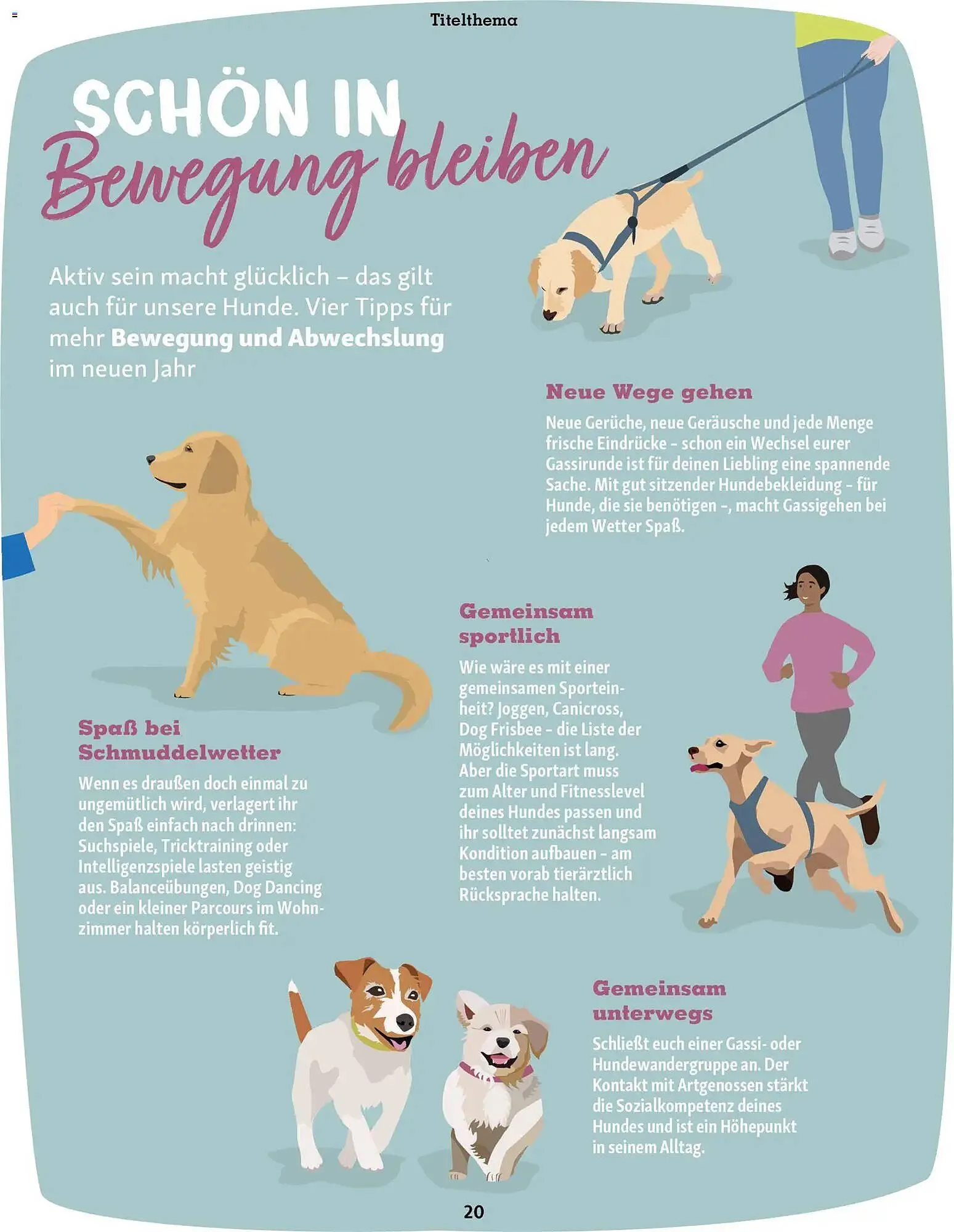 Fressnapf Magazin von 1. Januar bis 28. Februar 2026 - Prospekt seite 20