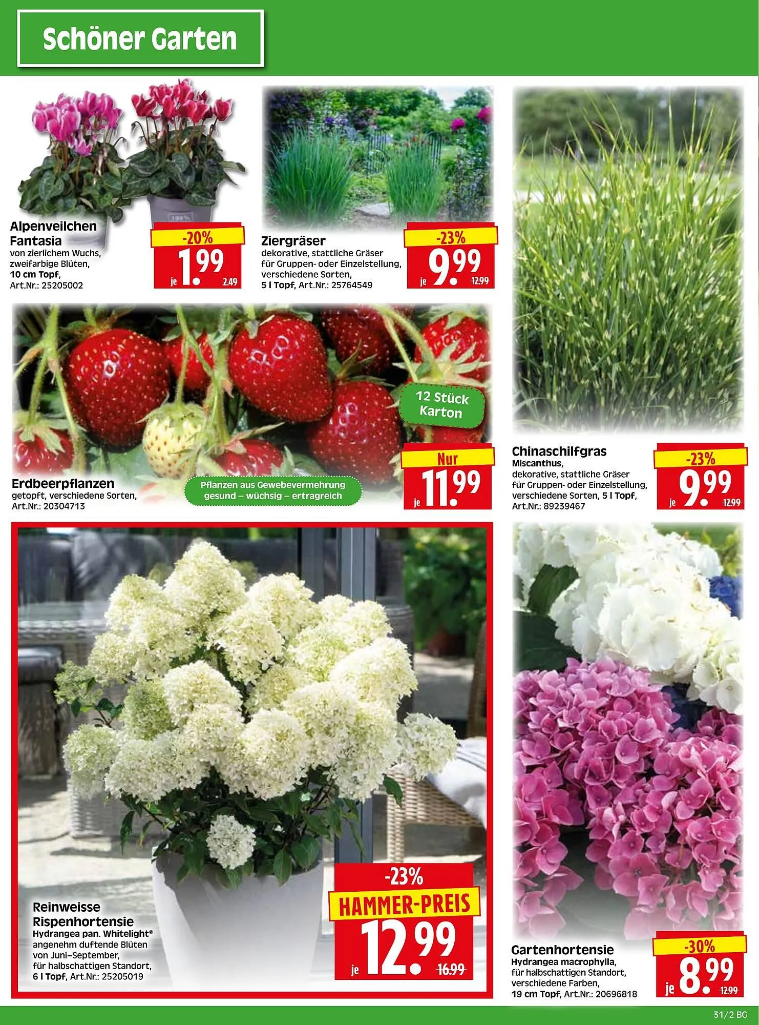 Herkules Baumarkt Prospekt von 28. Juli bis 2. August 2025 - Prospekt seite 2