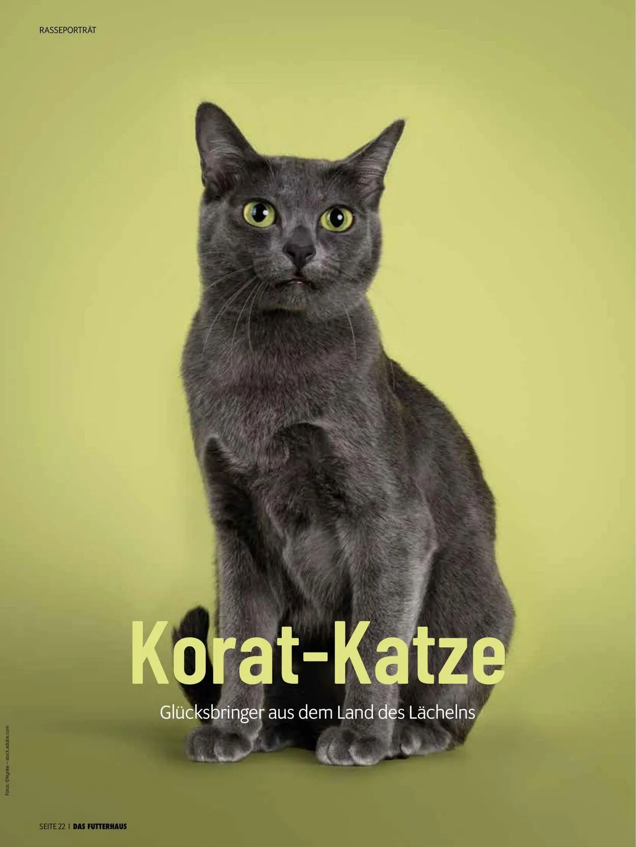 Futterhaus Aktueller Prospekt von 1. Oktober bis 31. Oktober 2025 - Prospekt seite 22