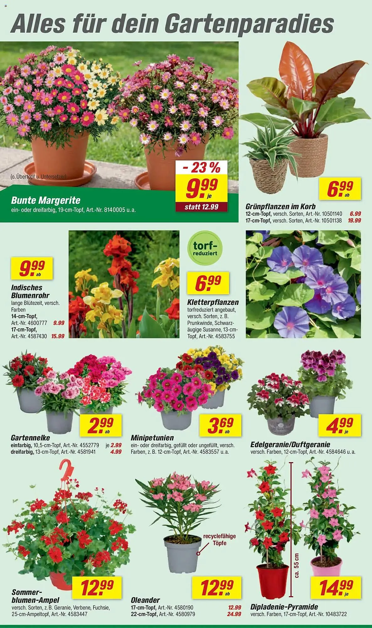 Toom Baumarkt Prospekt von 25. April bis 1. Mai 2026 - Prospekt seite 4