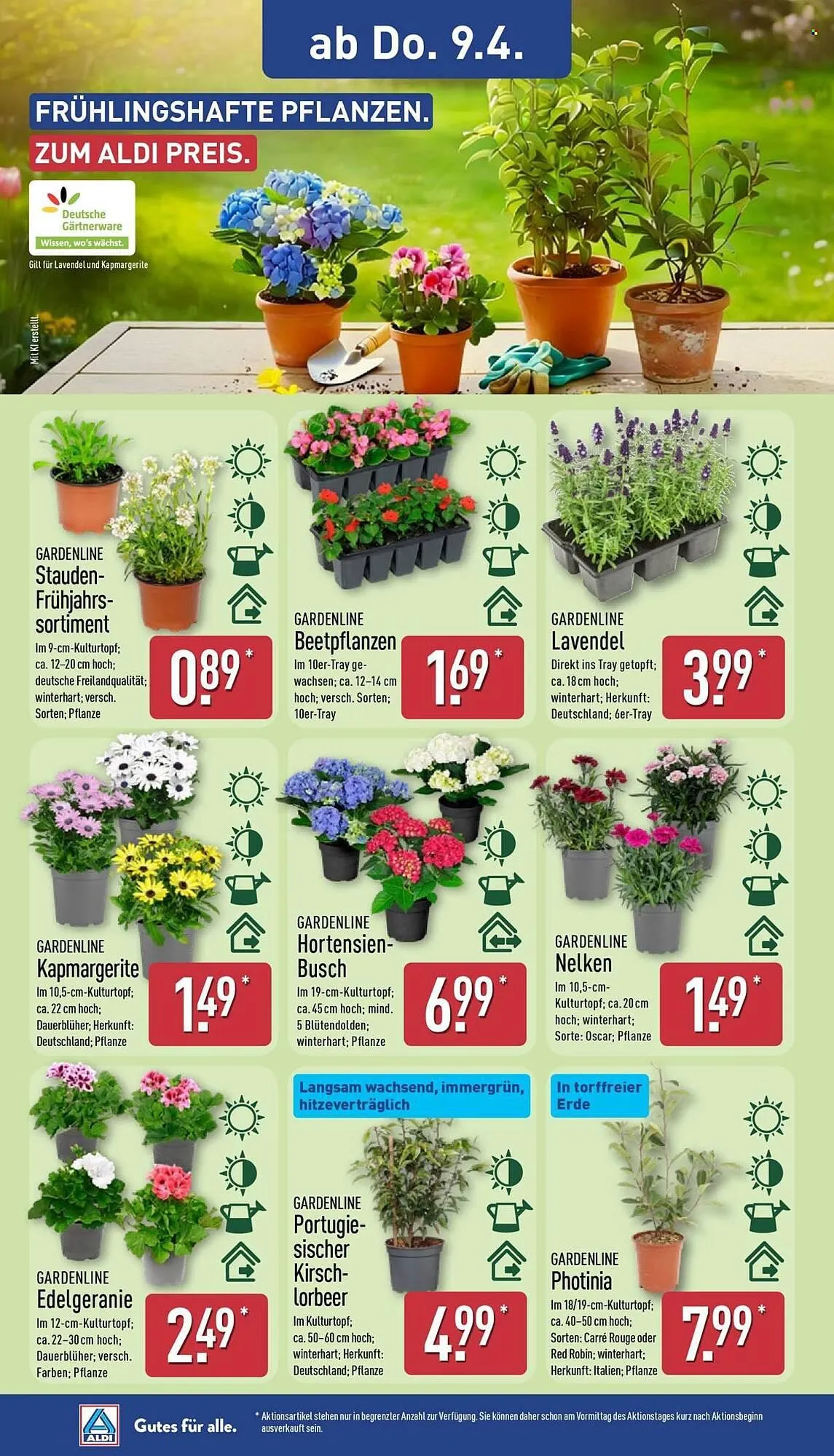 Aldi Nord Prospekt von 7. April bis 11. April 2026 - Prospekt seite 14