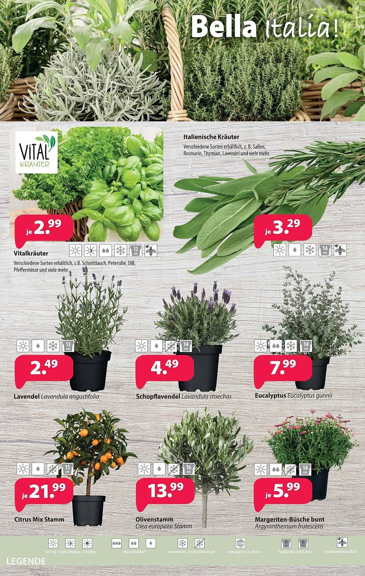 Kiebitzmarkt Prospekt von 4. April bis 11. April 2026 - Prospekt seite 8