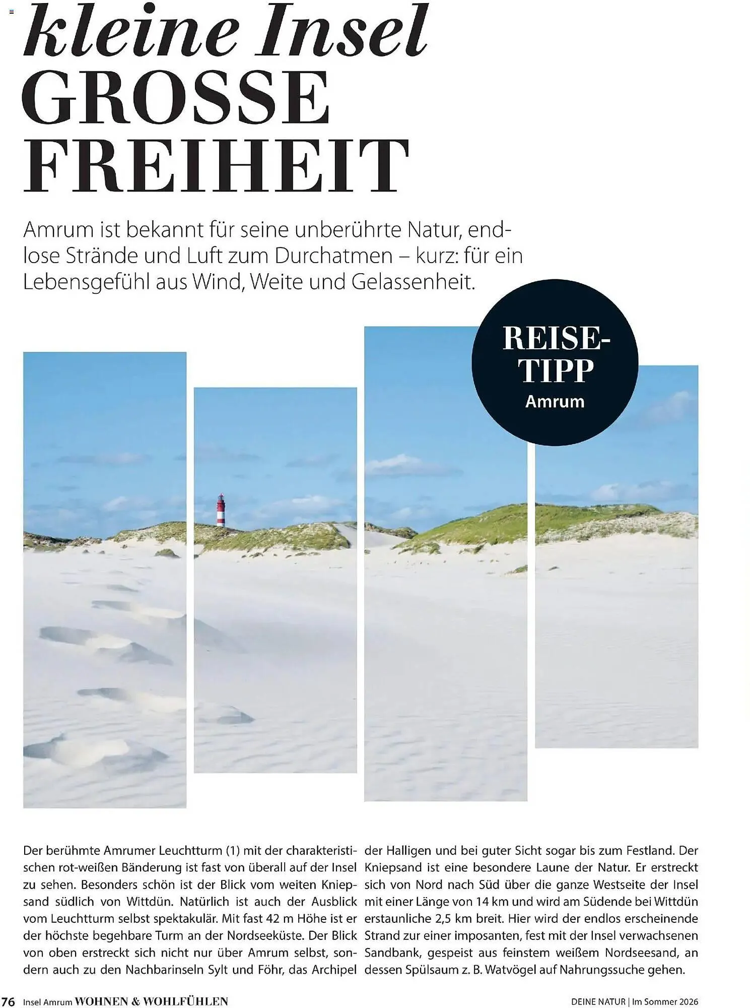 Dehner Prospekt von 17. April bis 31. August 2026 - Prospekt seite 76