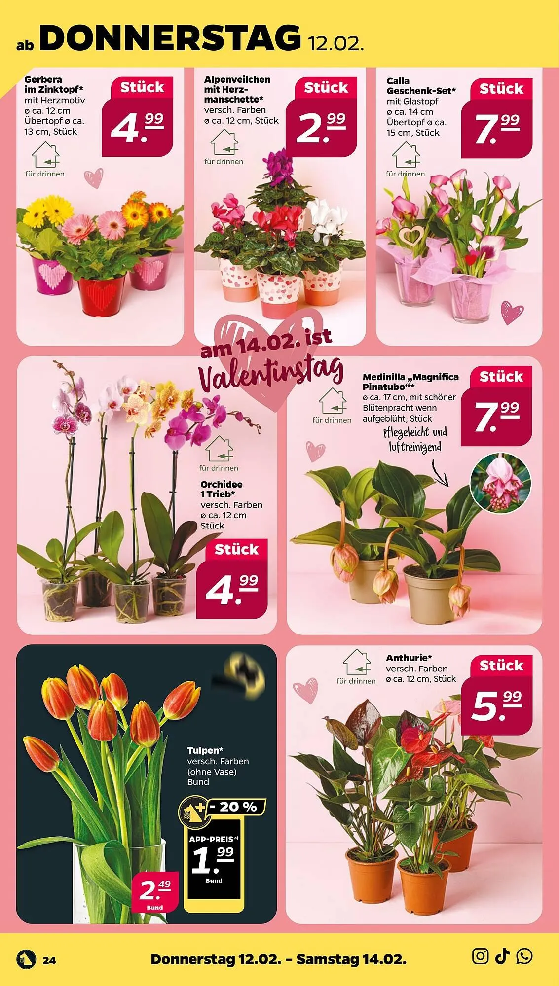 NETTO Prospekt von 9. Februar bis 14. Februar 2026 - Prospekt seite 28