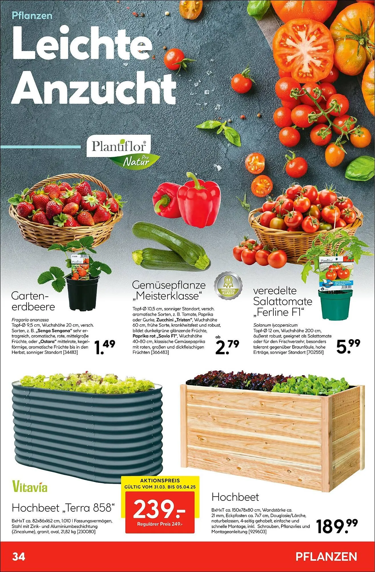 Hellweg Prospekt von 18. April bis 10. Mai 2025 - Prospekt seite 34